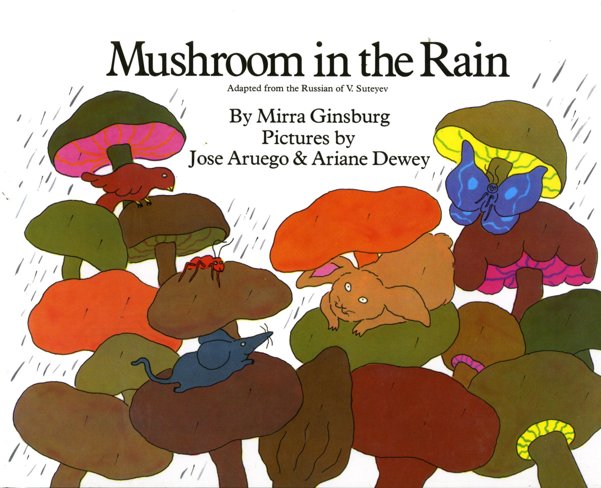 Mushroom in the Rain