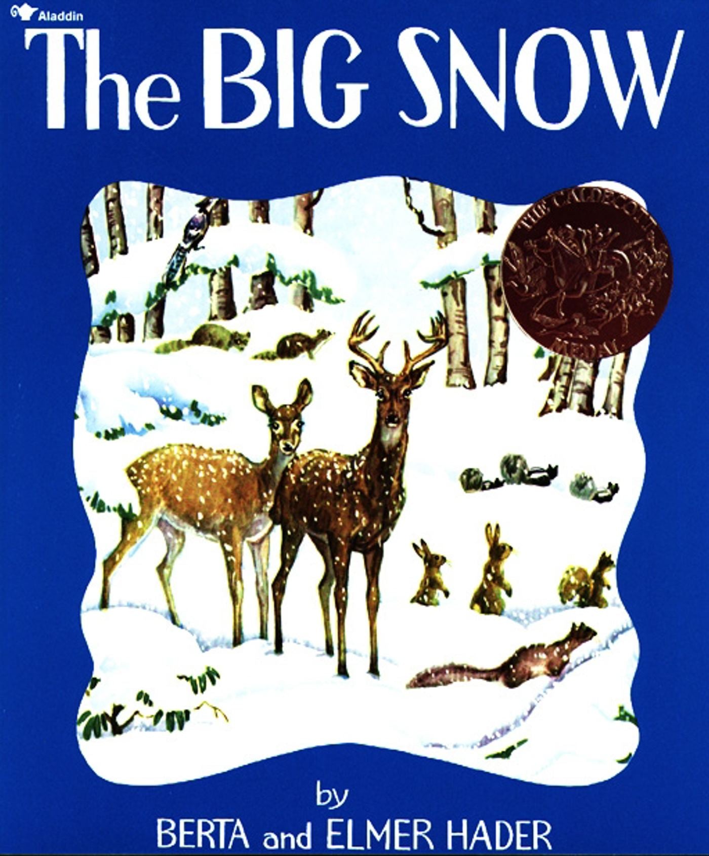 Big Snow