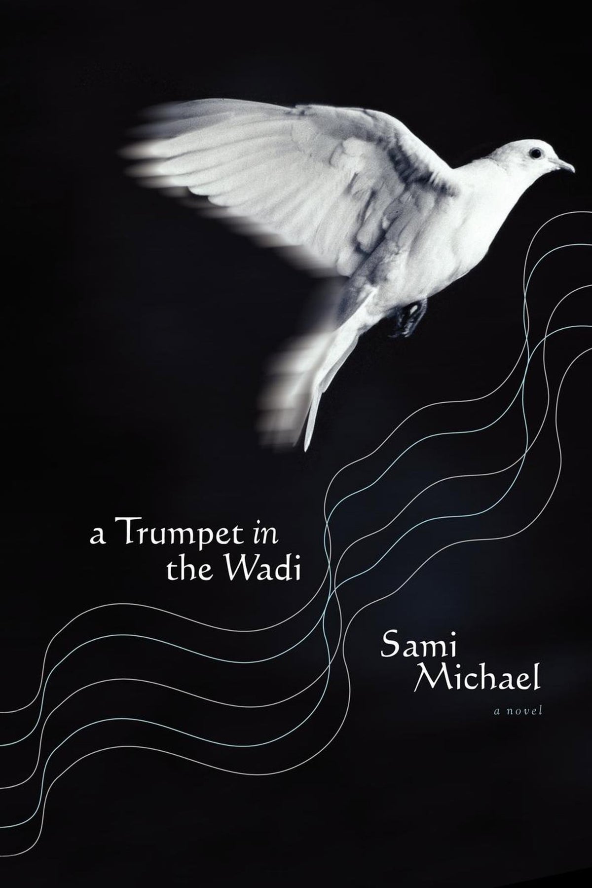 Trumpet in the Wadi: A Novel
