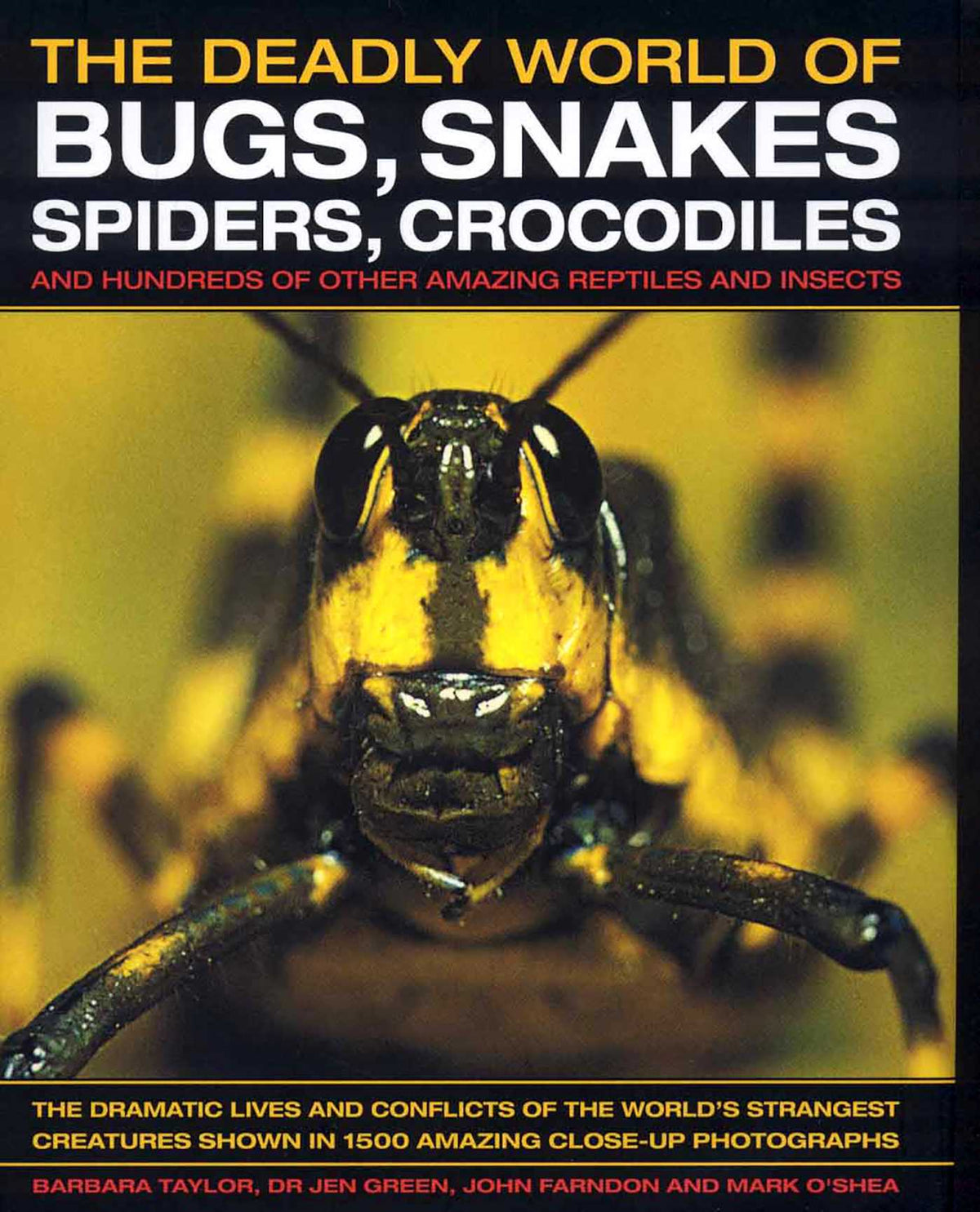 Deadly World of Bugs, Snakes, Spiders, Crocodiles: And Hundreds of Other Amazing Reptiles and Insects