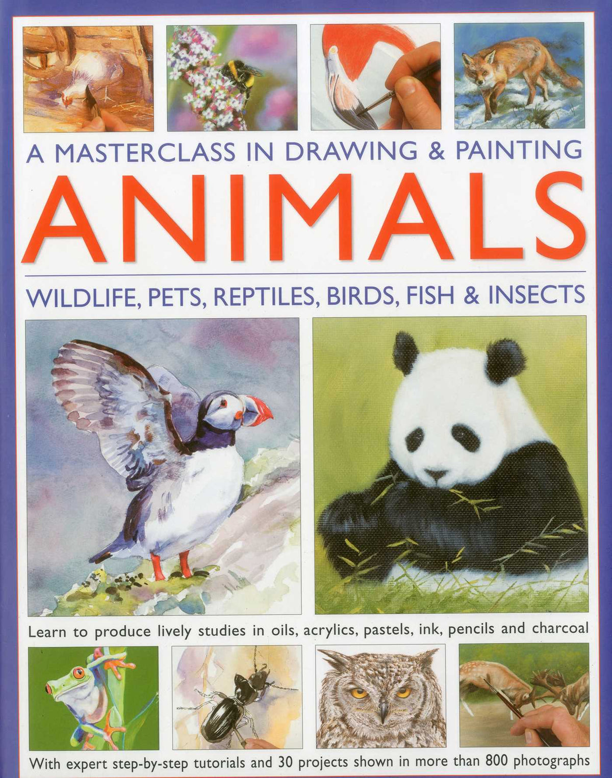 Masterclass in Drawing and Painting Animals: Wildlife, pets, reptiles, birds, fish and insects