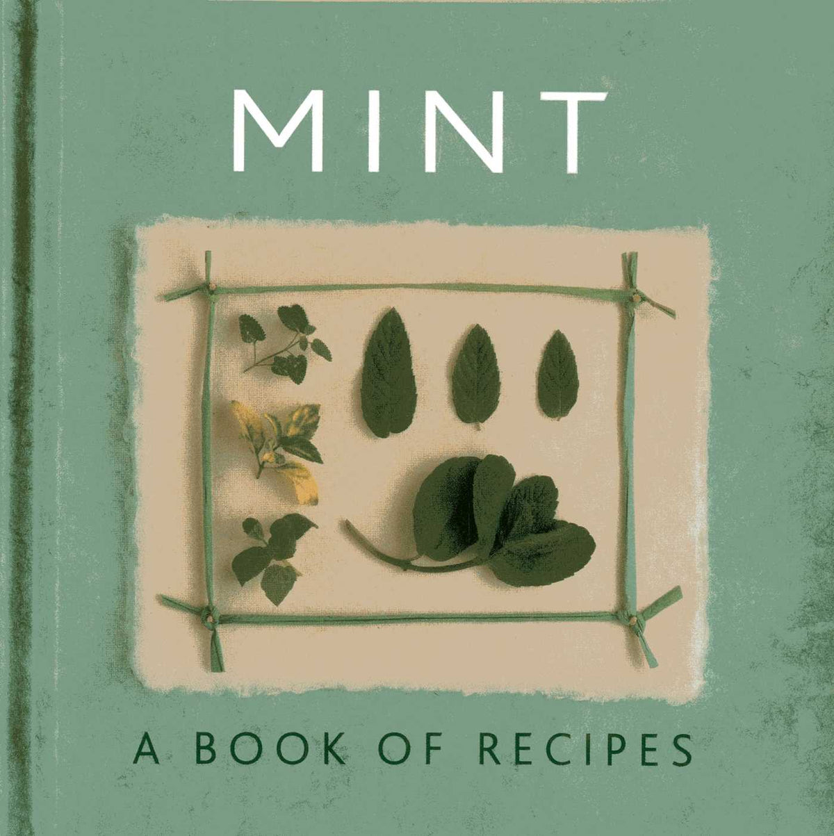 Mint