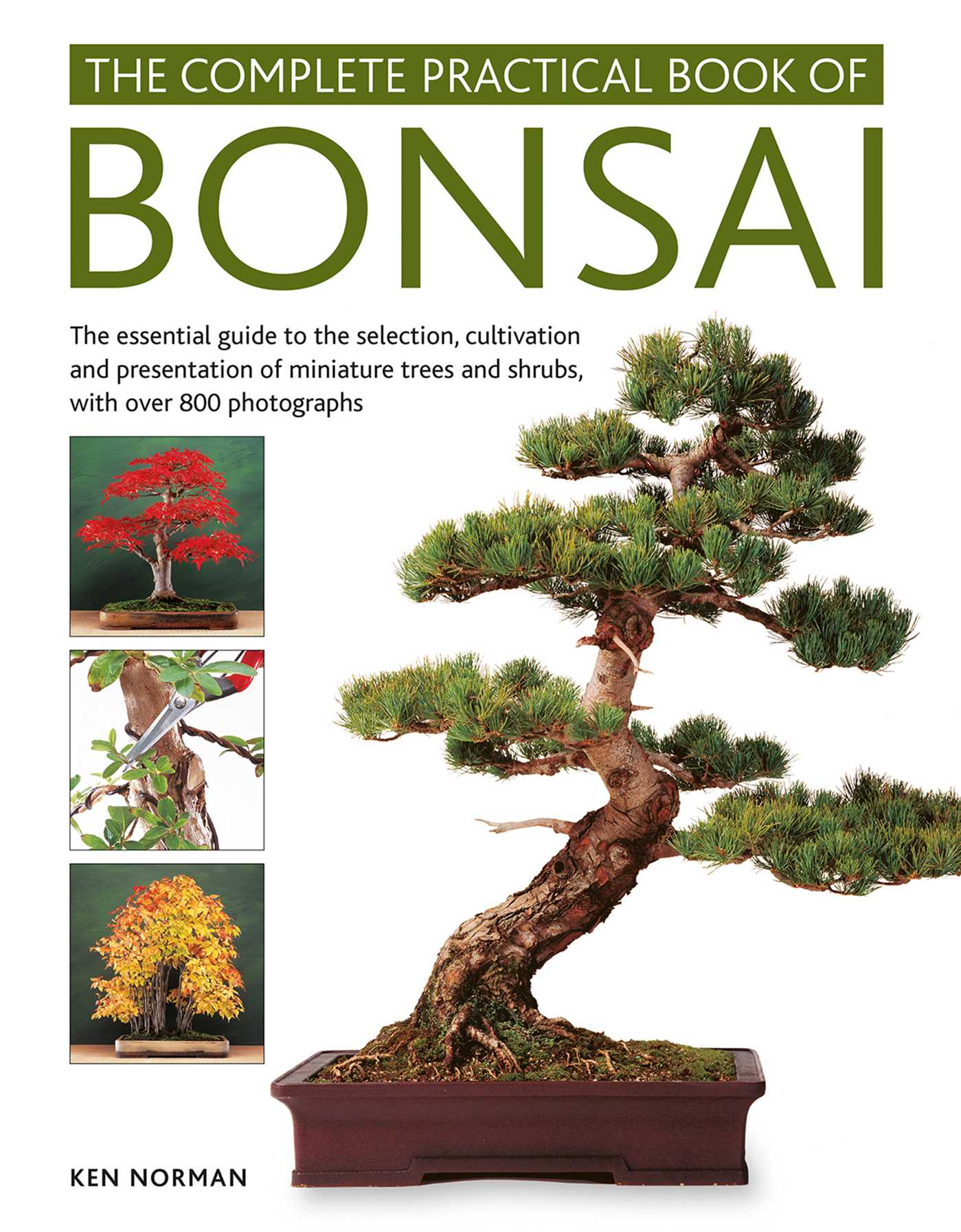 Complete Practical Book of Bonsai: The Essential Guide to the Selection, Cultivation and Presentation of Miniature Trees and Shrubs, with Over 800 Photographs