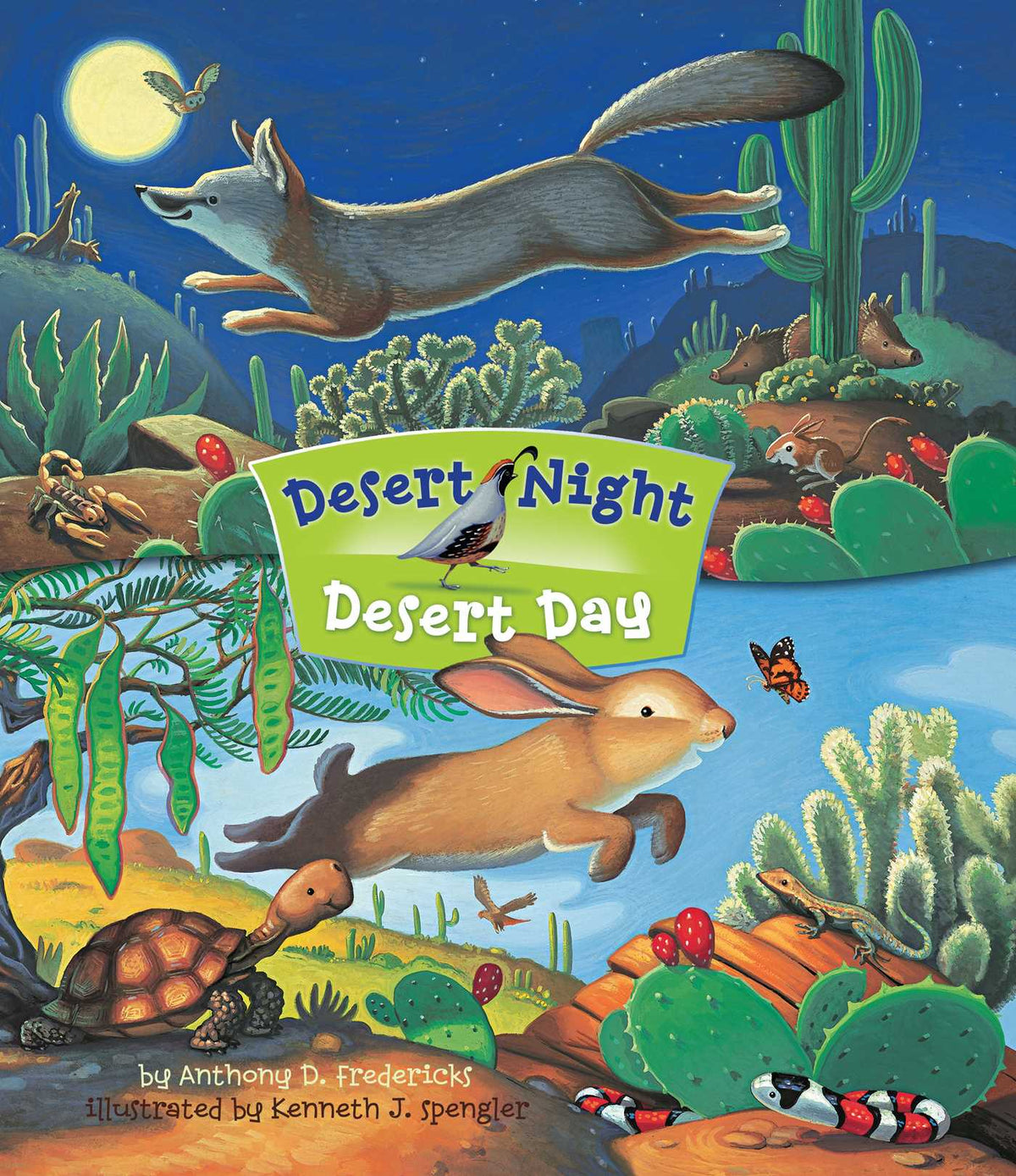 Desert Night Desert Day