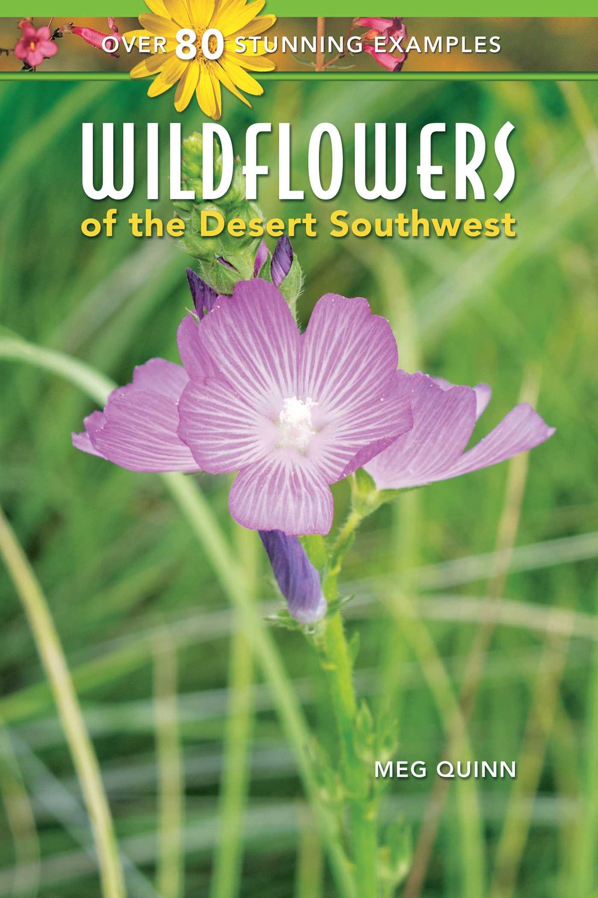 Wildflowers of the Desert Southwest