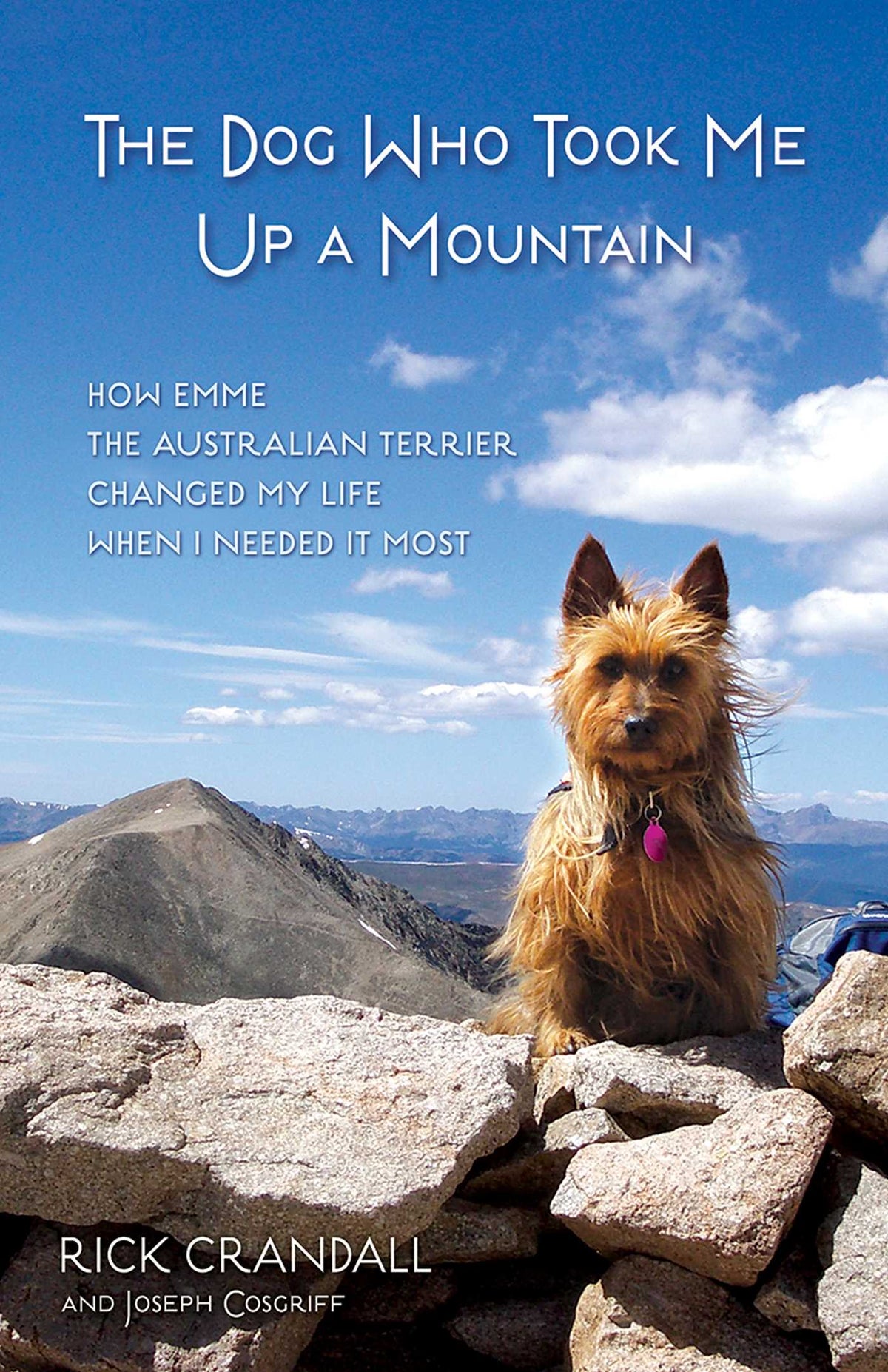 Dog Who Took Me Up a Mountain: How Emme the Australian Terrier Changed My Life When I Needed It Most