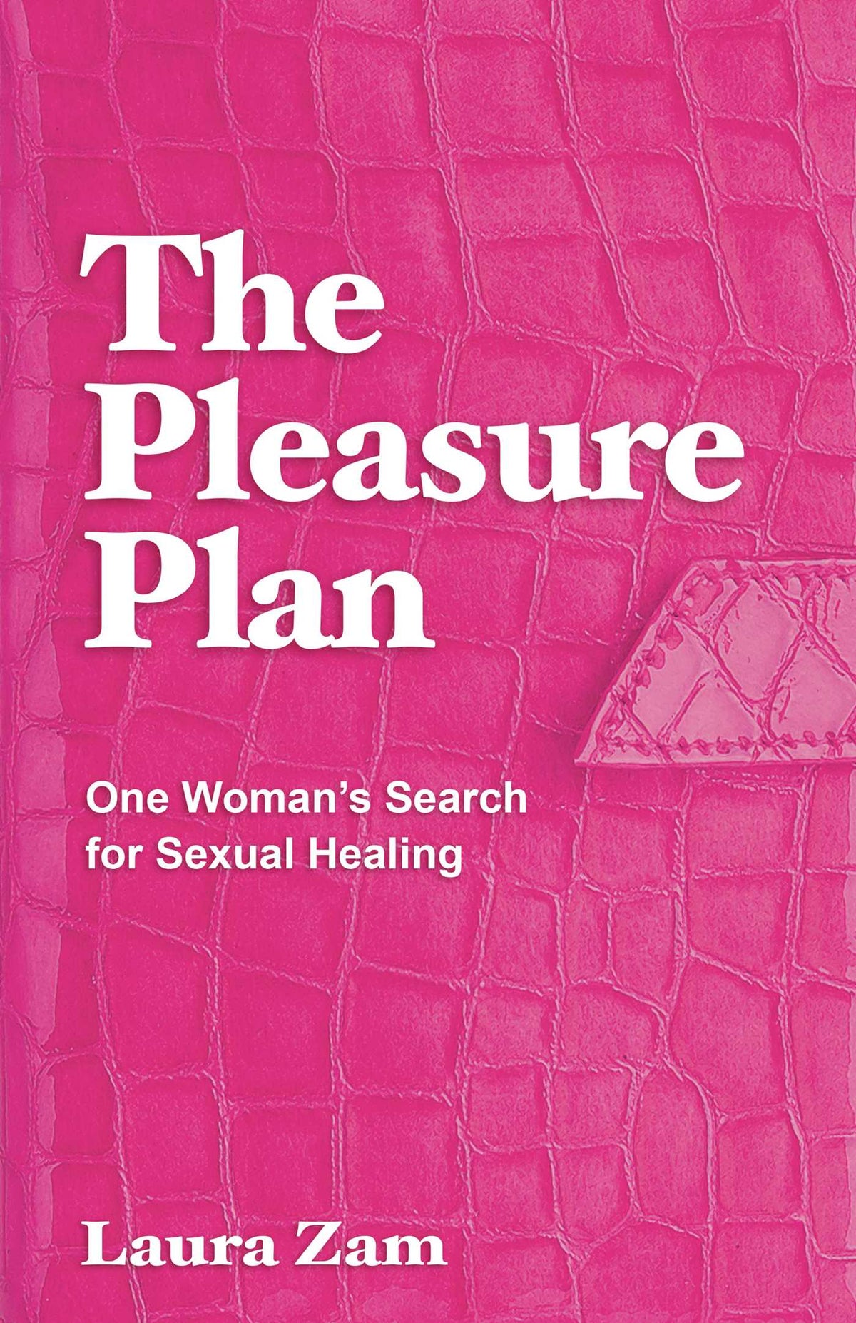 Pleasure Plan: One Woman's Search for Sexual Healing