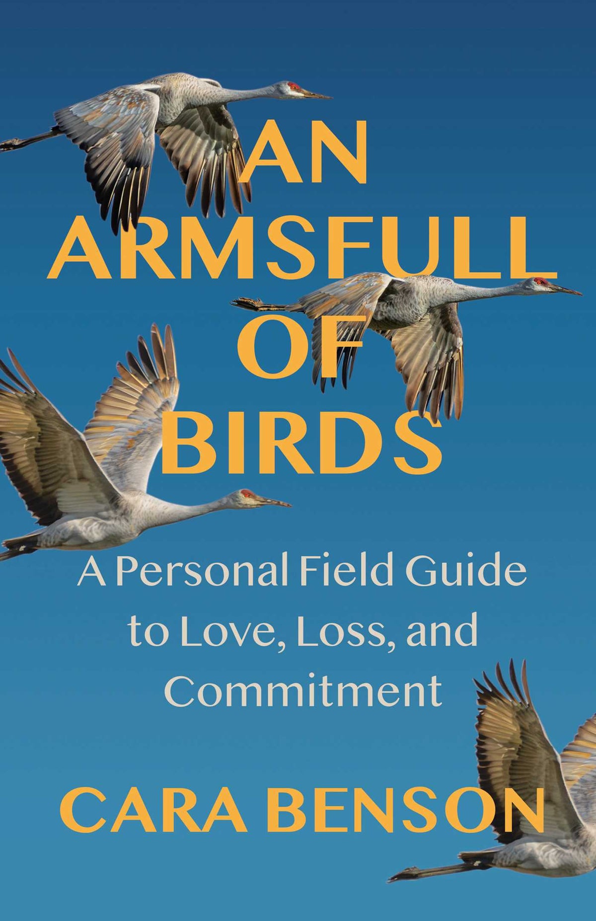 An Armsfull of Birds