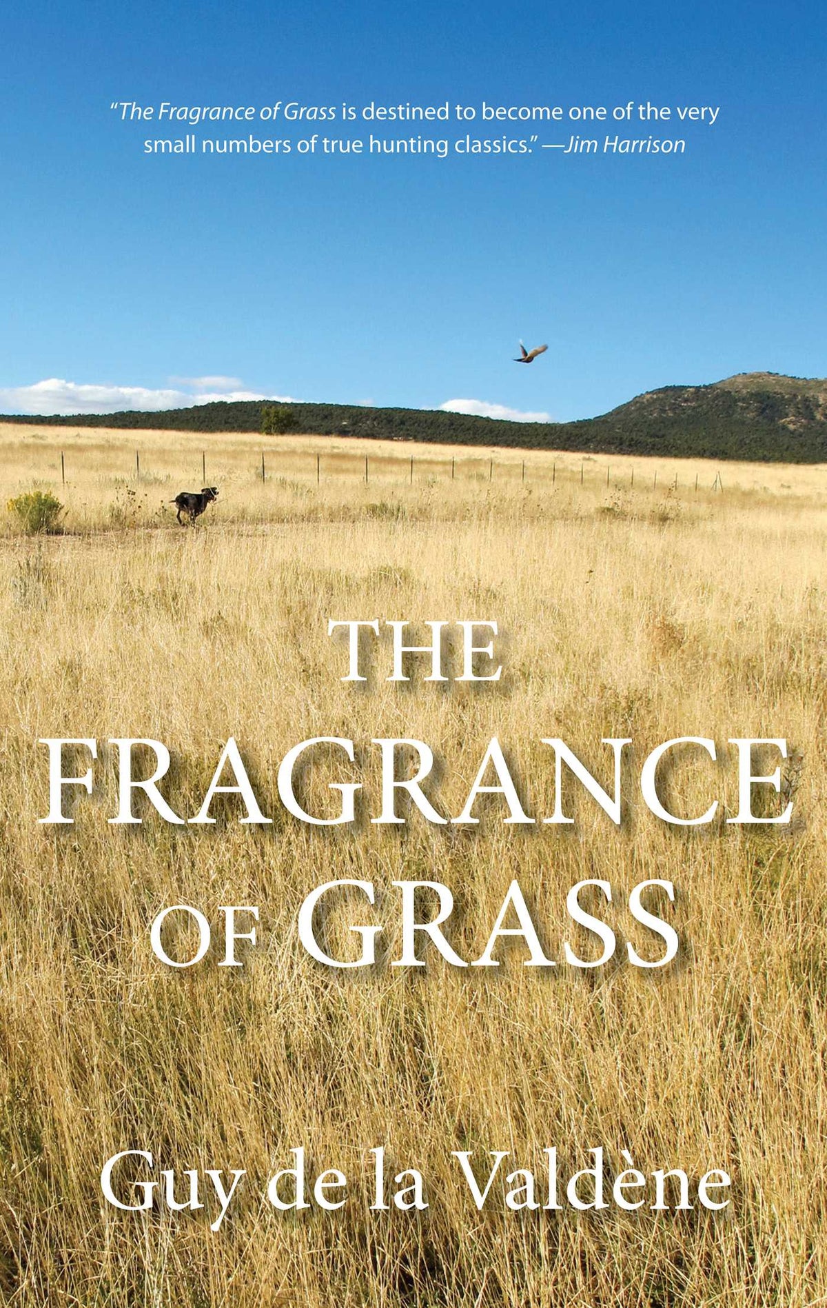 Fragrance of Grass