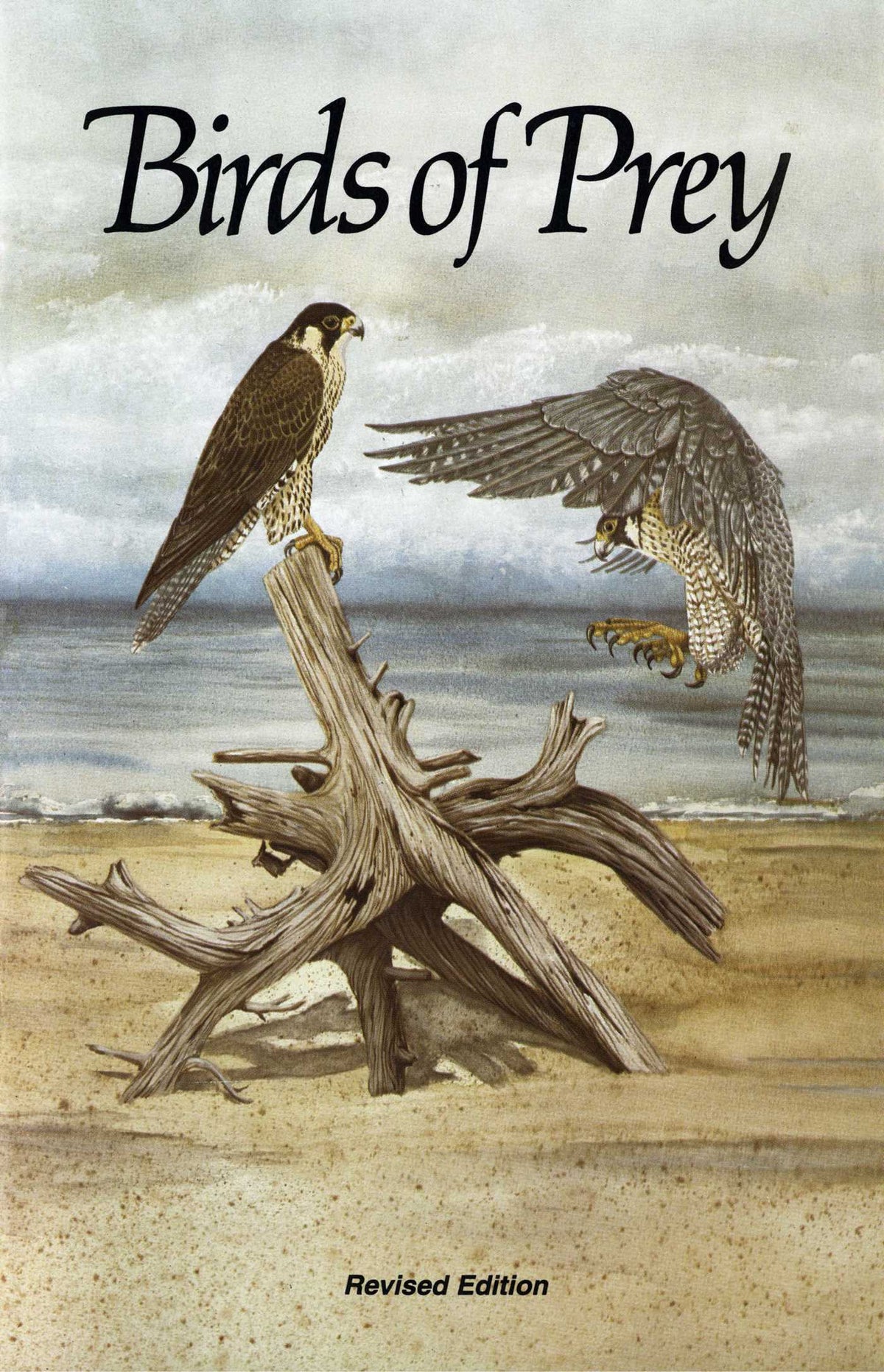 Birds of Prey