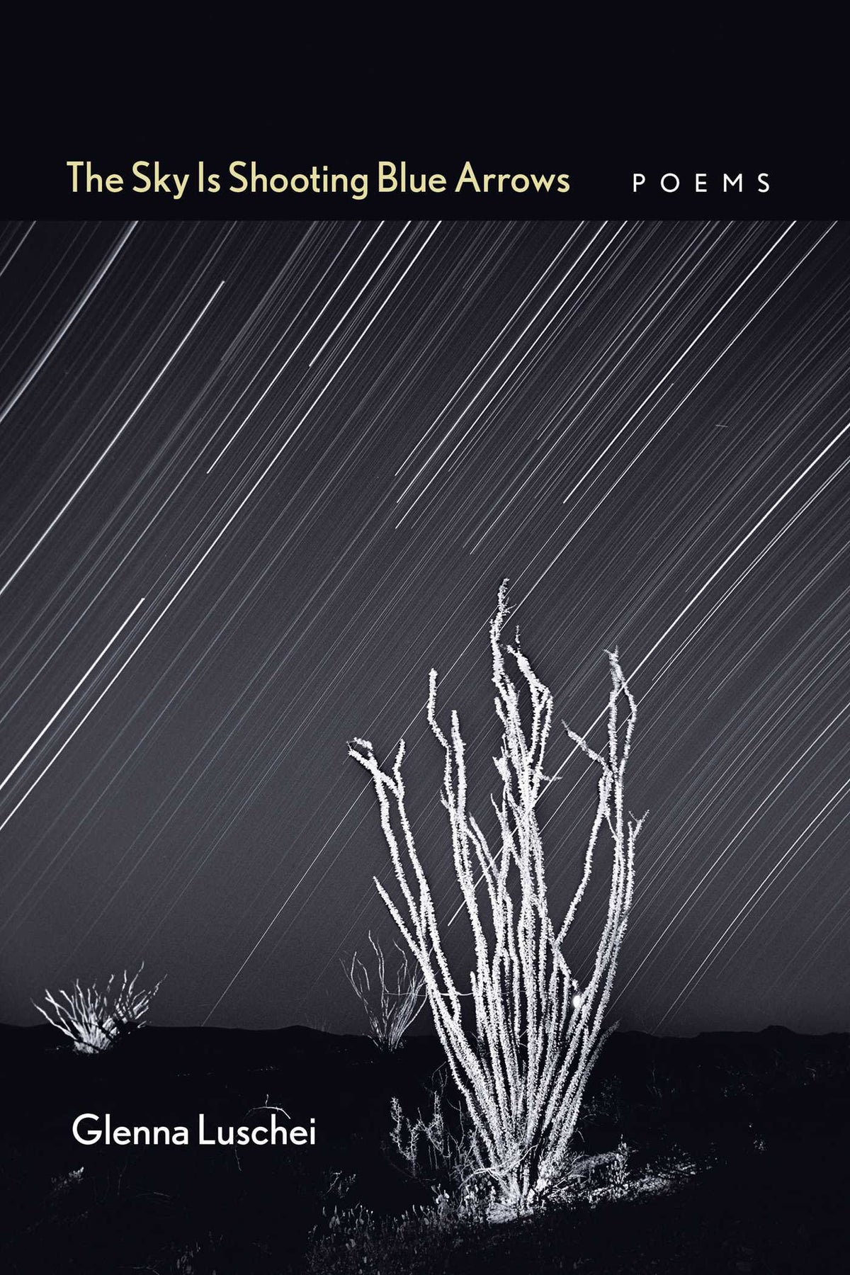 Sky Is Shooting Blue Arrows: Poems
