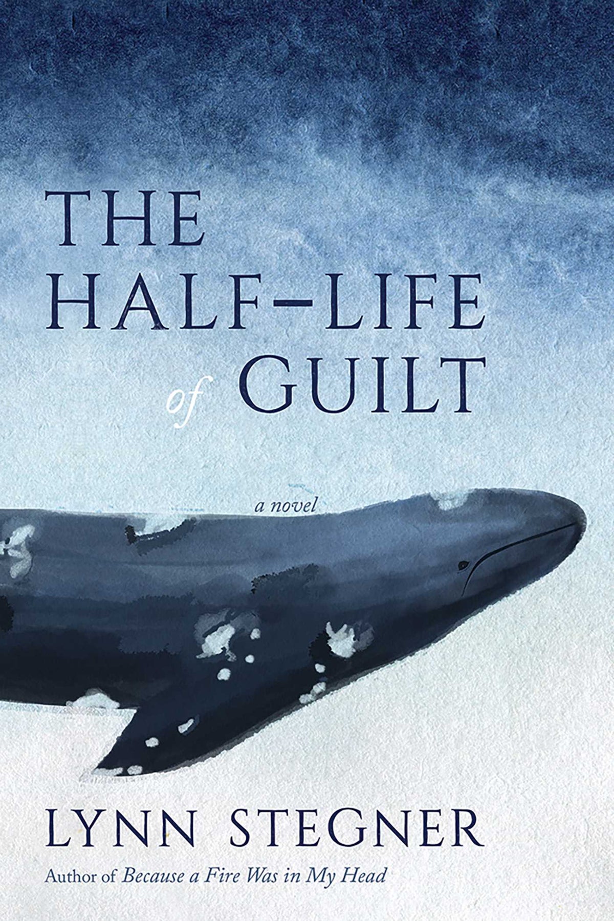 Half-Life of Guilt: A Novel