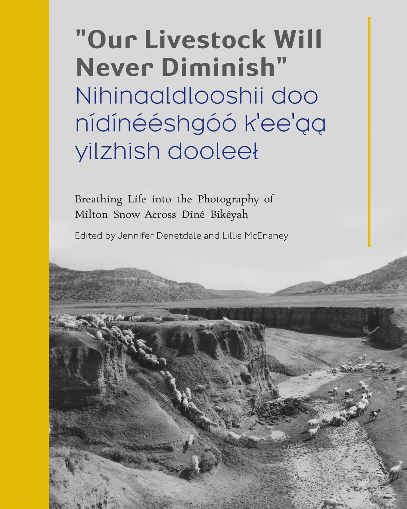 "Our Livestock Will Never Diminish" / "Nihinaaldlooshii doo nídínééshgóó k'ee'aa yilzhish dooleel"