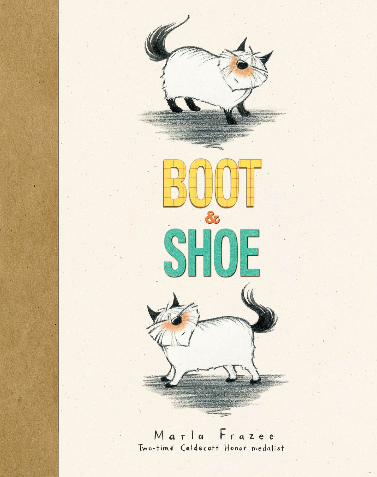 Boot & Shoe