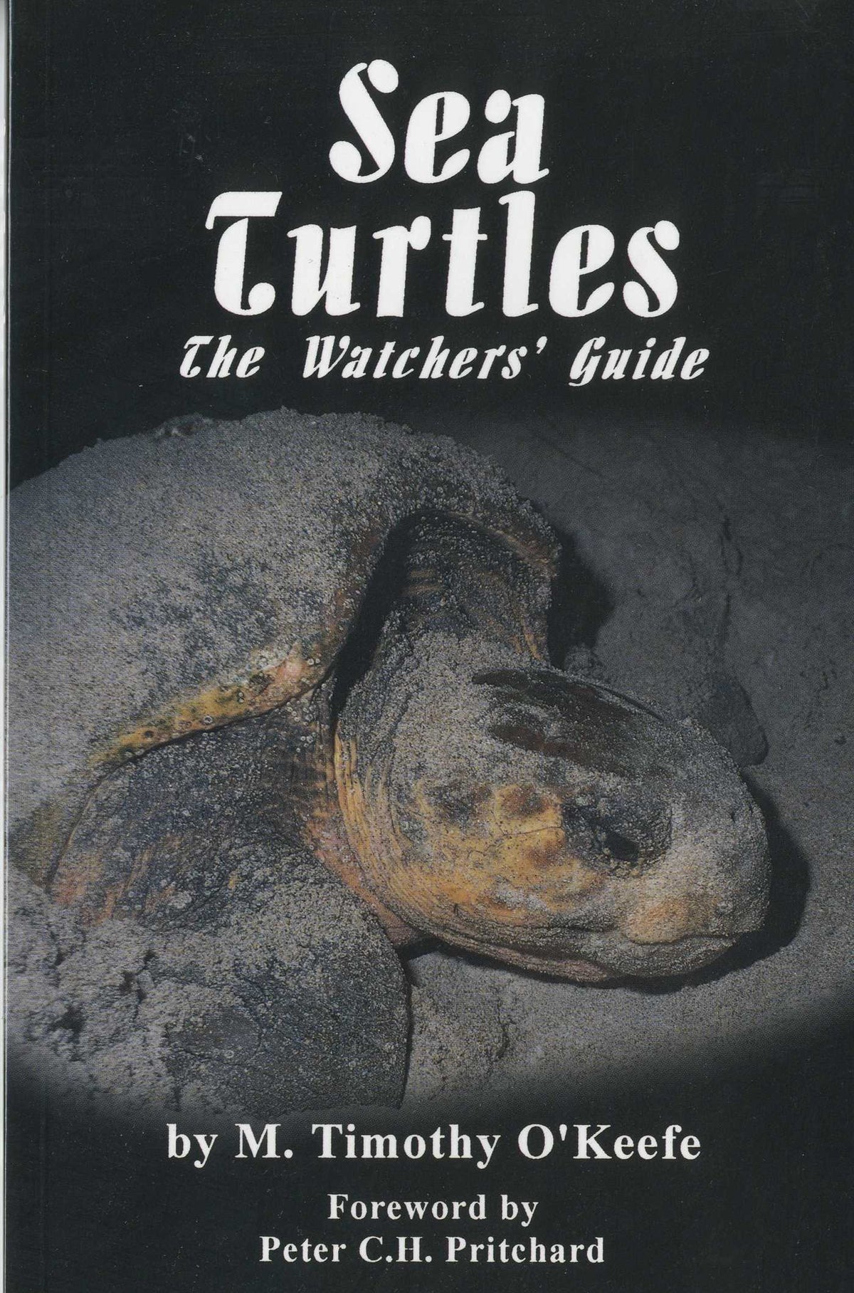 Sea Turtles
