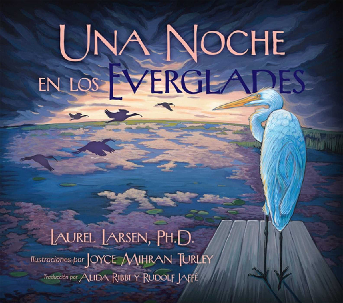 Noche en los Everglades
