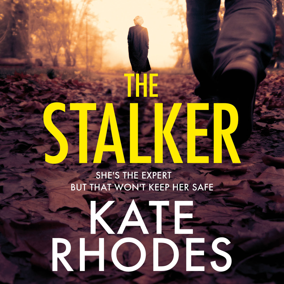 Stalker: A nail-bitingly tense thriller that will have you looking over your shoulder until the final shocking twist