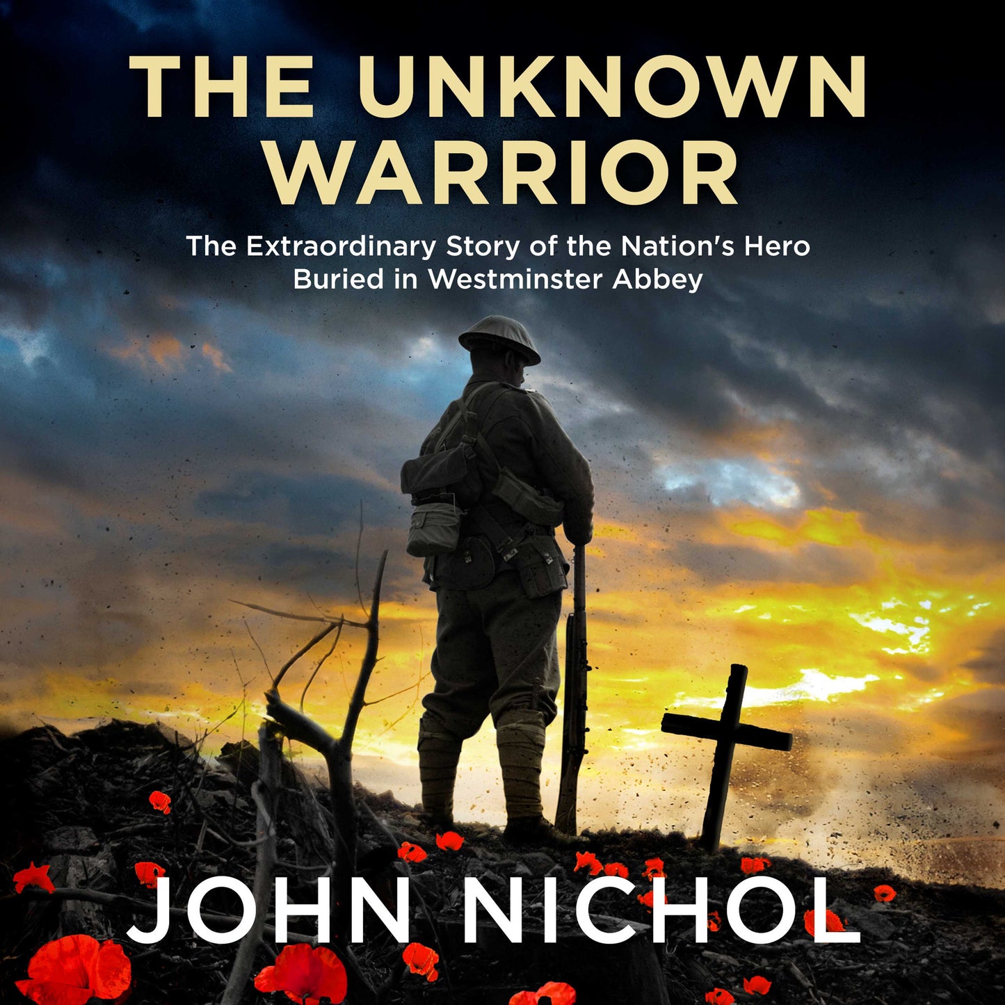 Unknown Warrior: The Extraordinary Story of the Nation's Hero Buried in Westminster Abbey