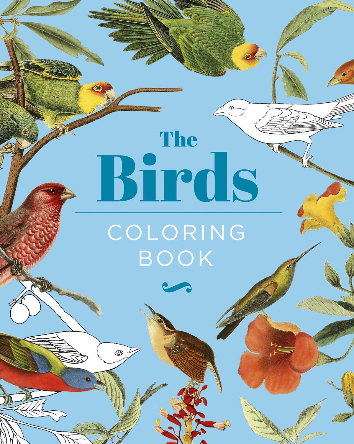 Birds Coloring Book: Hardback Gift Edition