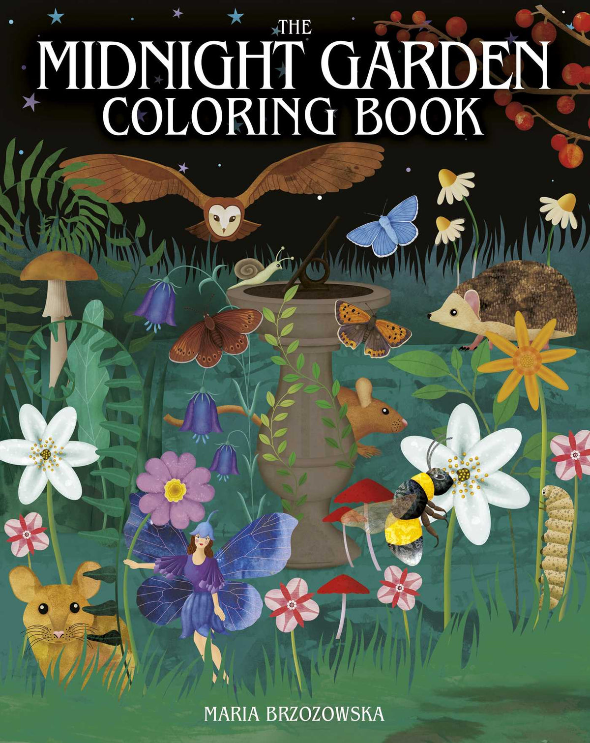 Midnight Garden Coloring Book: Over 45 Enchanting Images