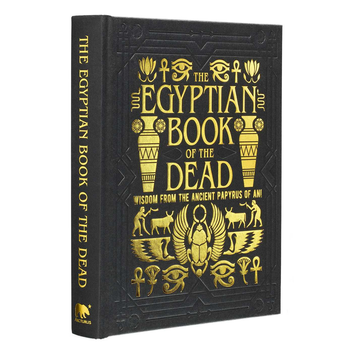 Egyptian Book of the Dead: Wisdom of the Ancient Papyrus of Ani