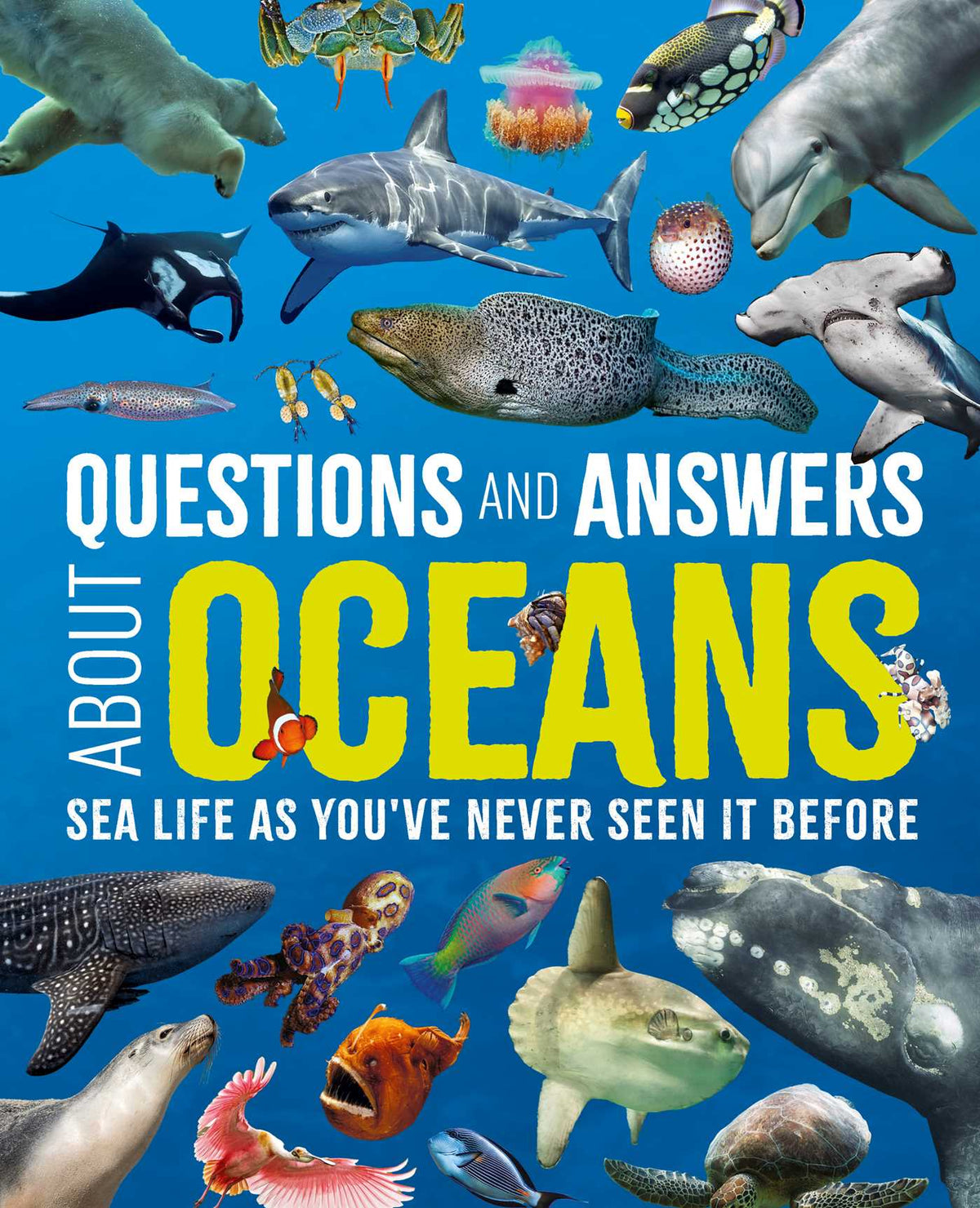 Questions and Answers About Oceans