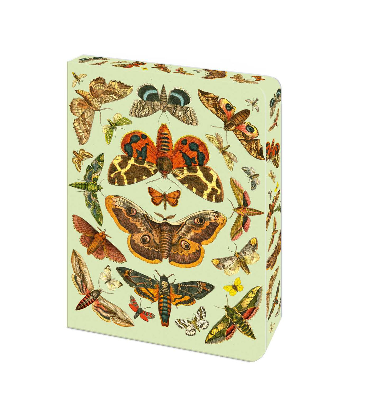 Moth Journal: Blank Lined Notebook