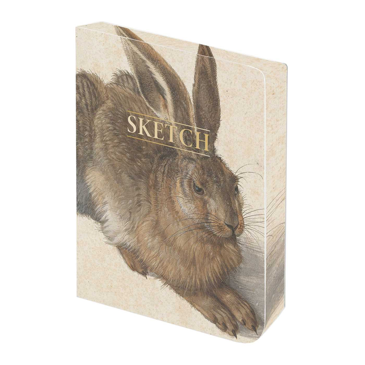 Durer Hare Sketch Book