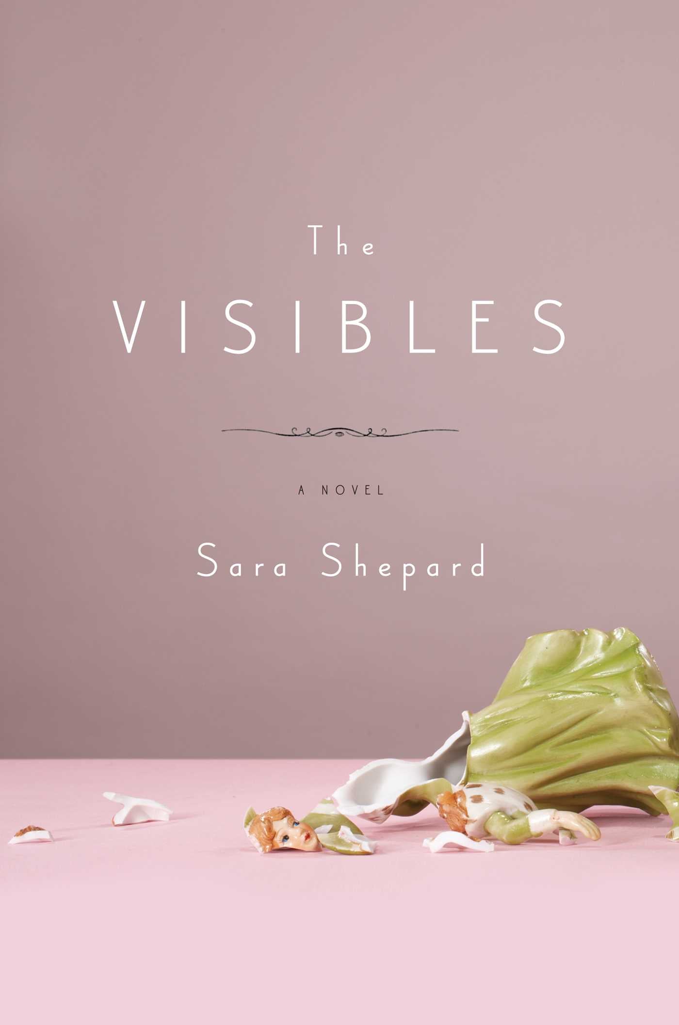 Visibles: A Novel