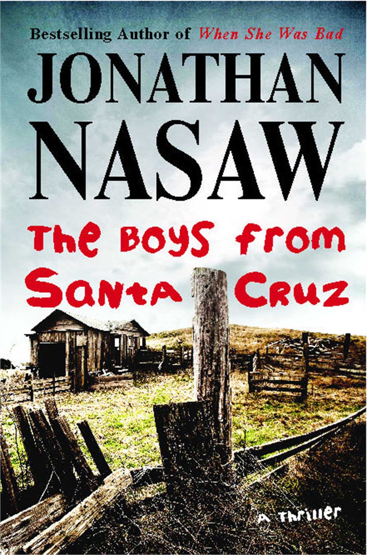 Boys from Santa Cruz: A Thriller