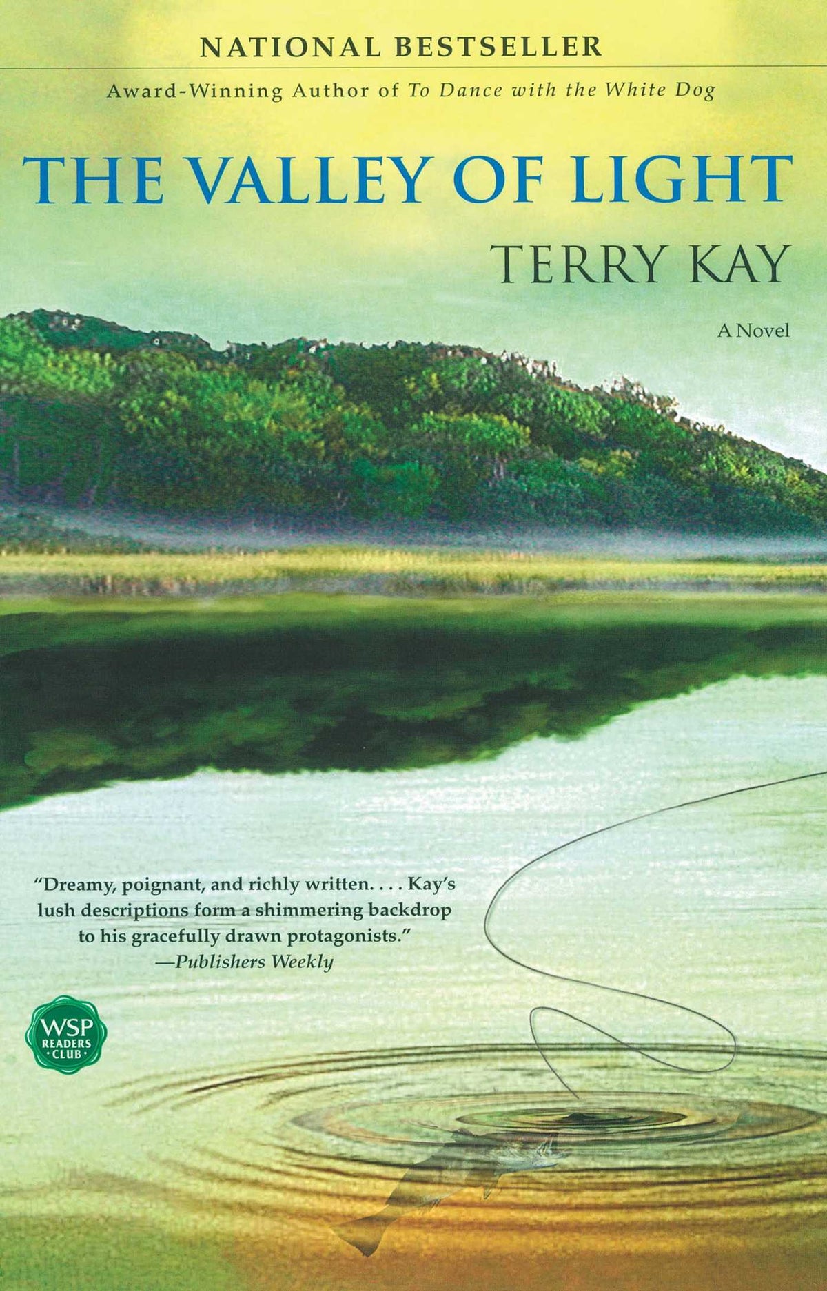 Valley of Light: A Novel