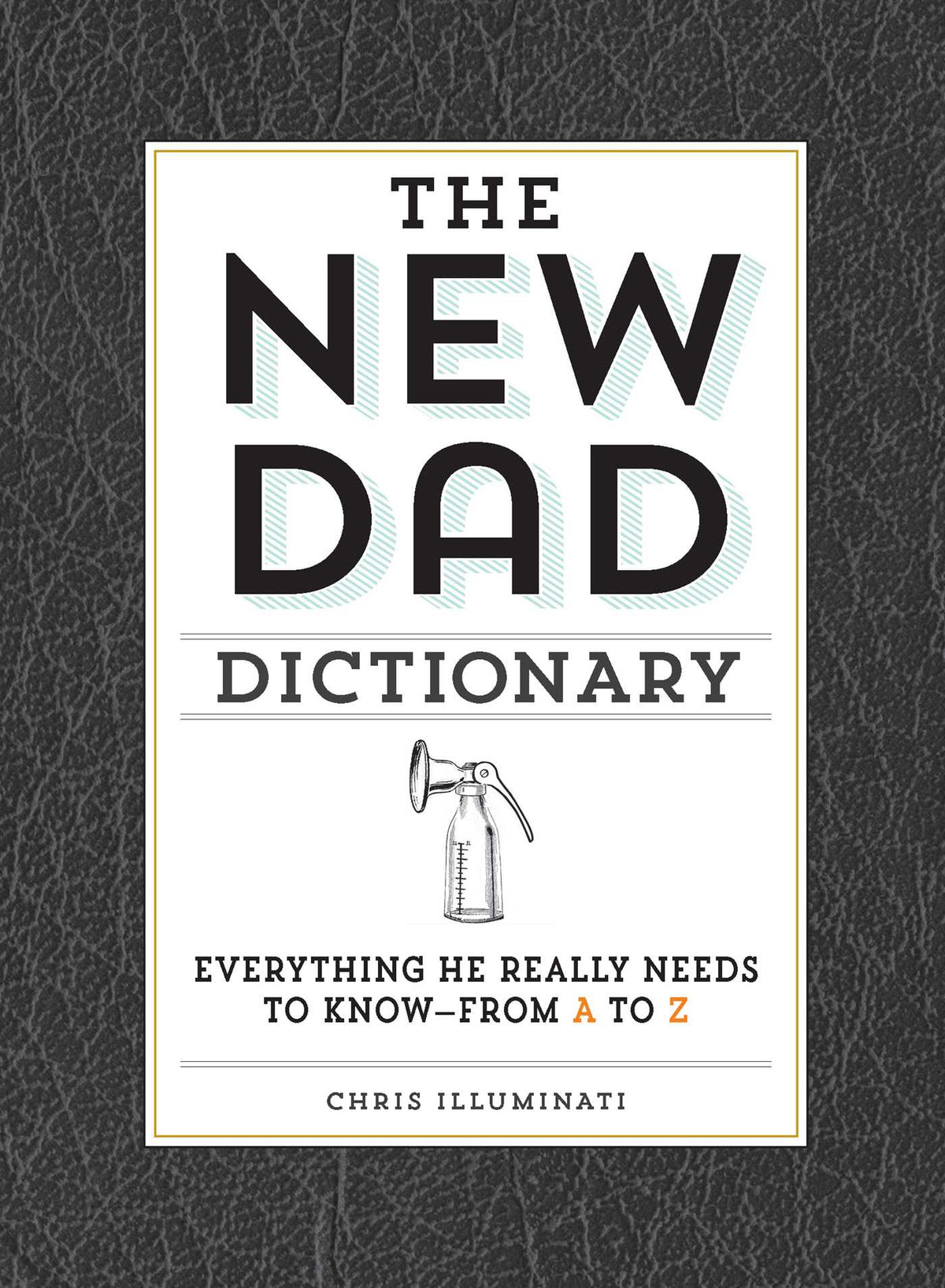 New Dad Dictionary: Everything He Really Needs to Know - from A to Z