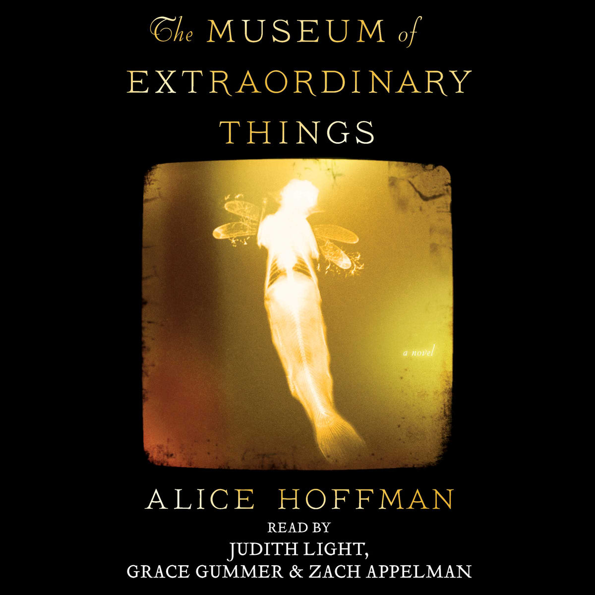 Museum of Extraordinary Things: A Novel