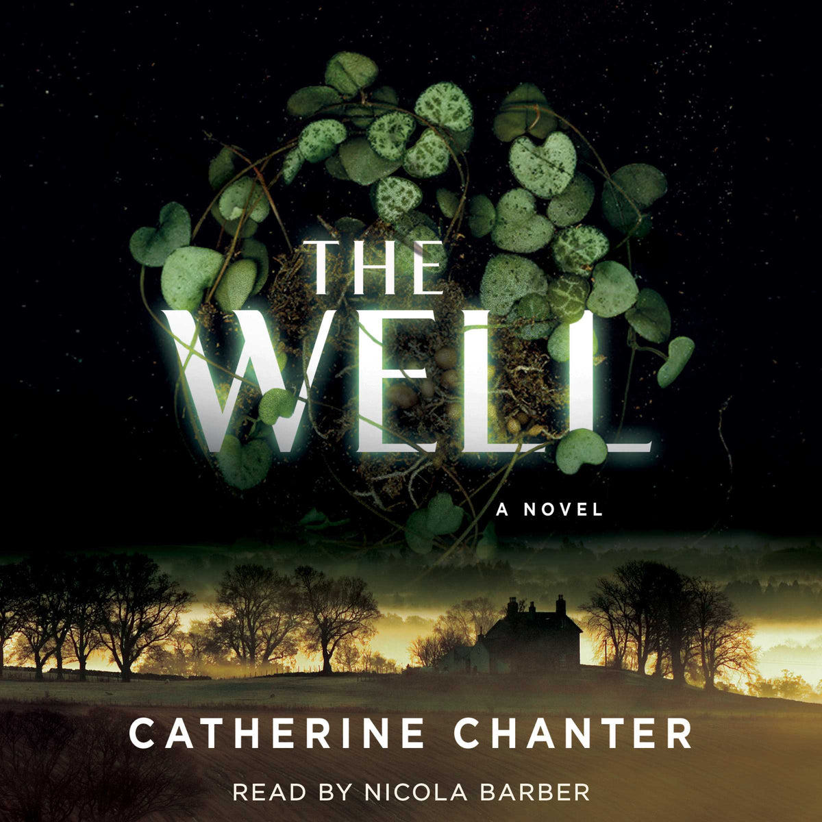 Well: A Novel