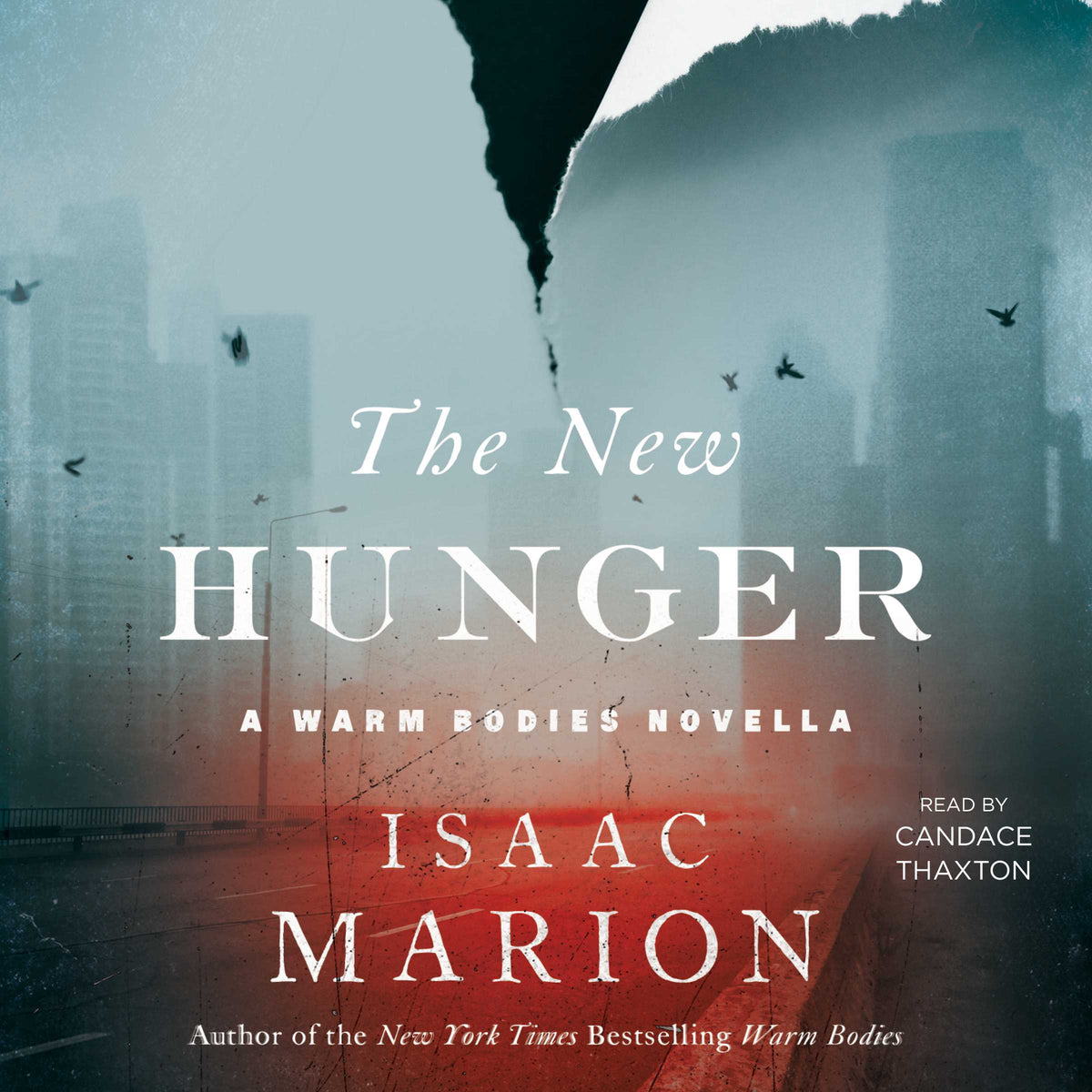 New Hunger: A Warm Bodies Novella