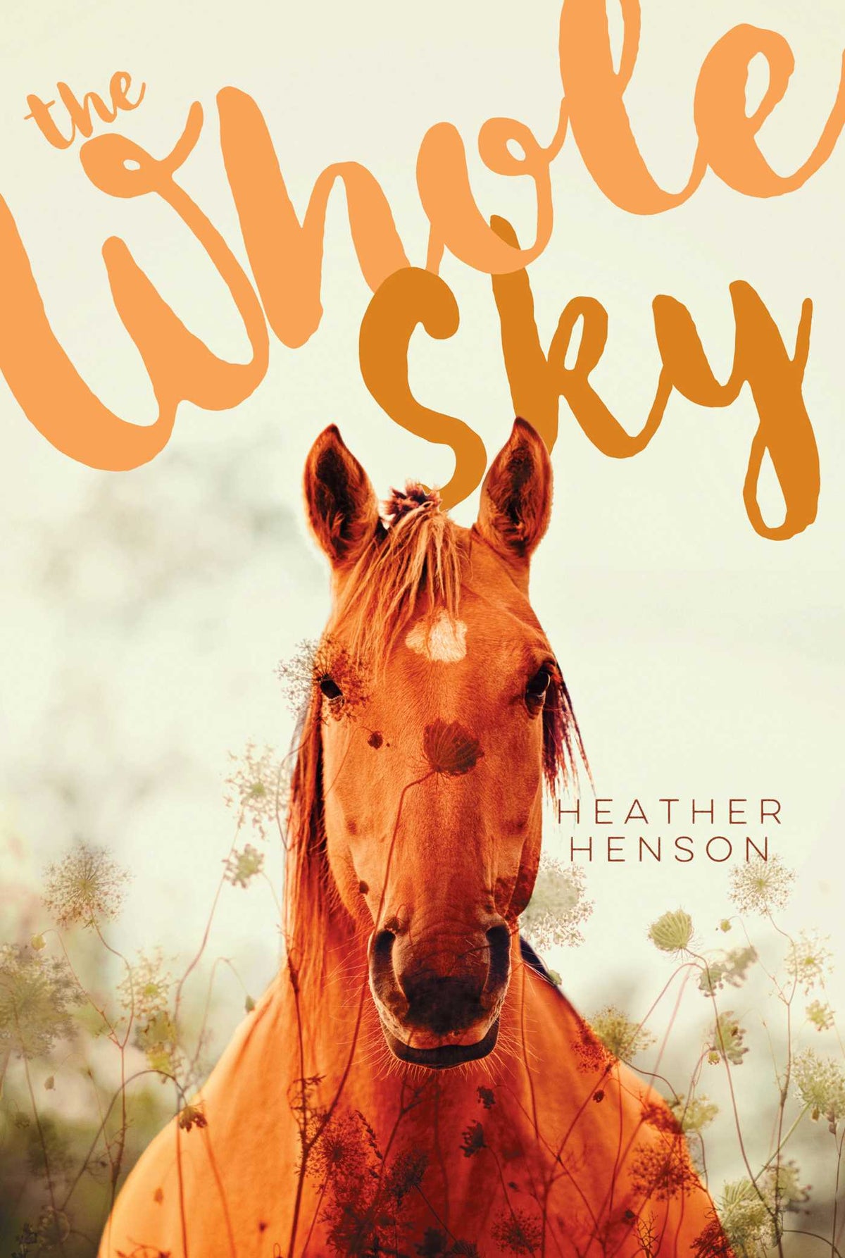 Whole Sky