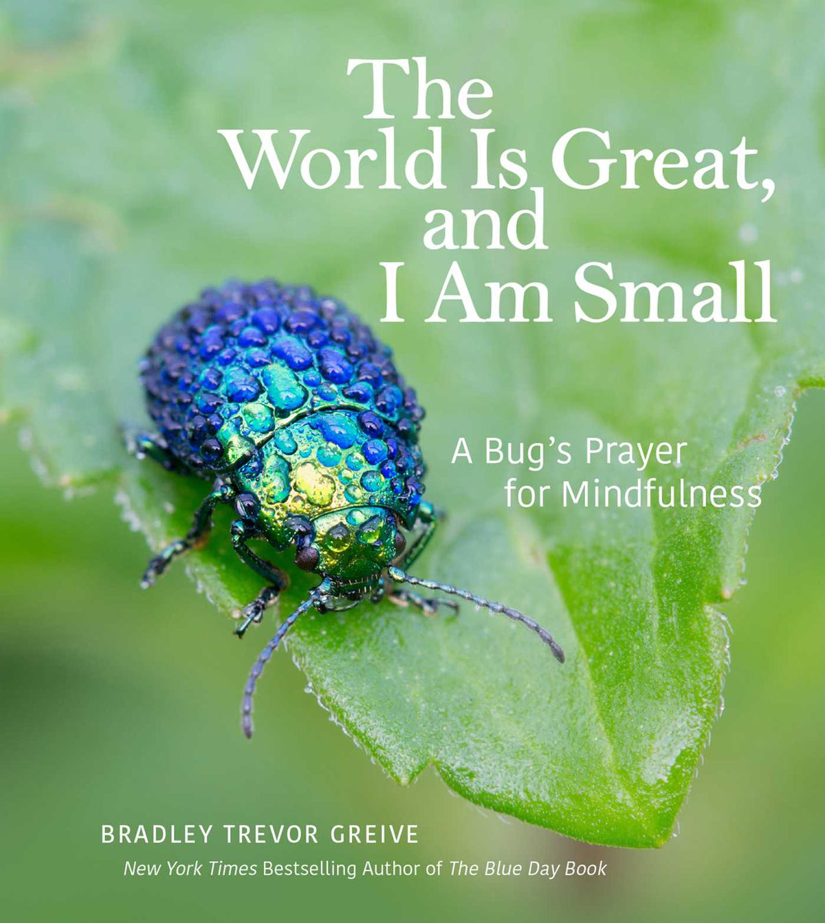 World Is Great, and I Am Small: A Bug's Prayer for Mindfulness