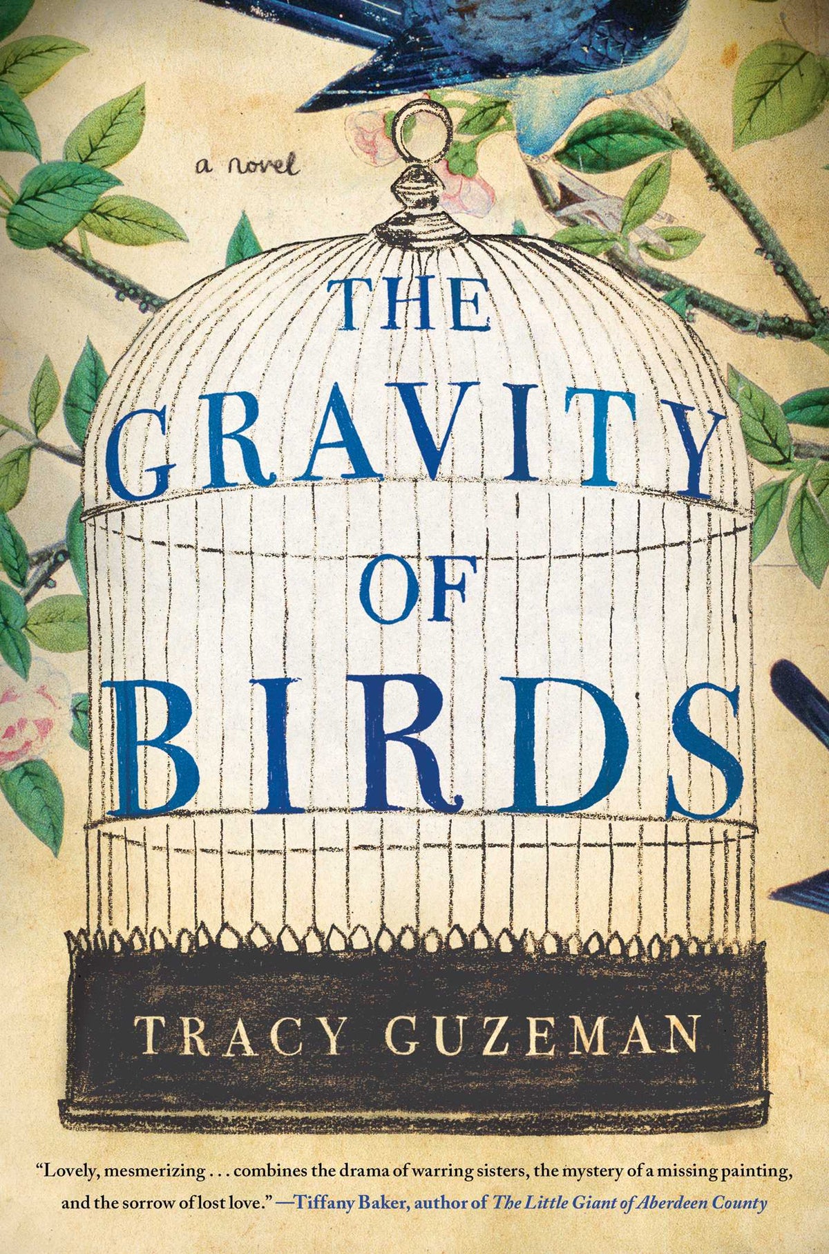 Gravity of Birds: A Novel