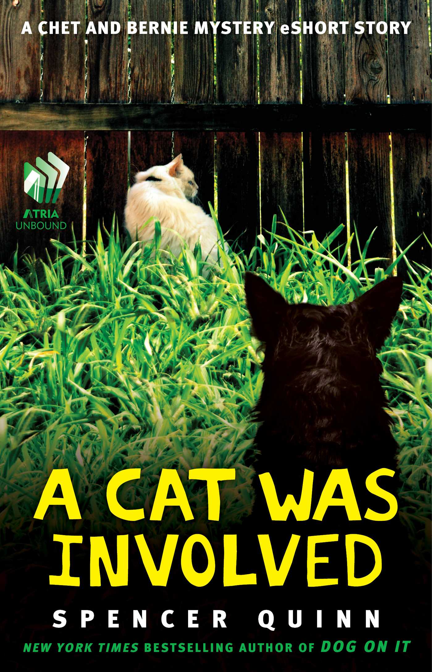 Cat Was Involved: A Chet and Bernie Mystery eShort Story