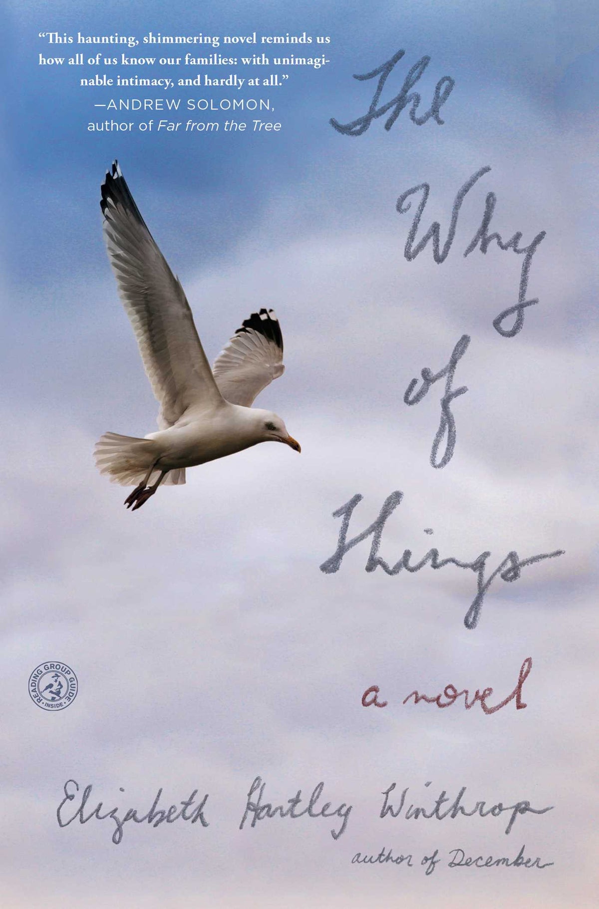 Why of Things: A Novel