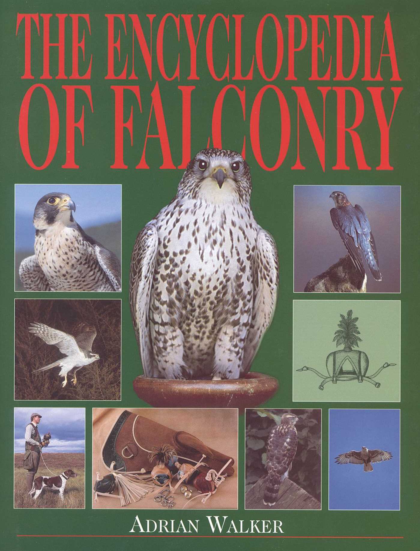 Encyclopedia of Falconry