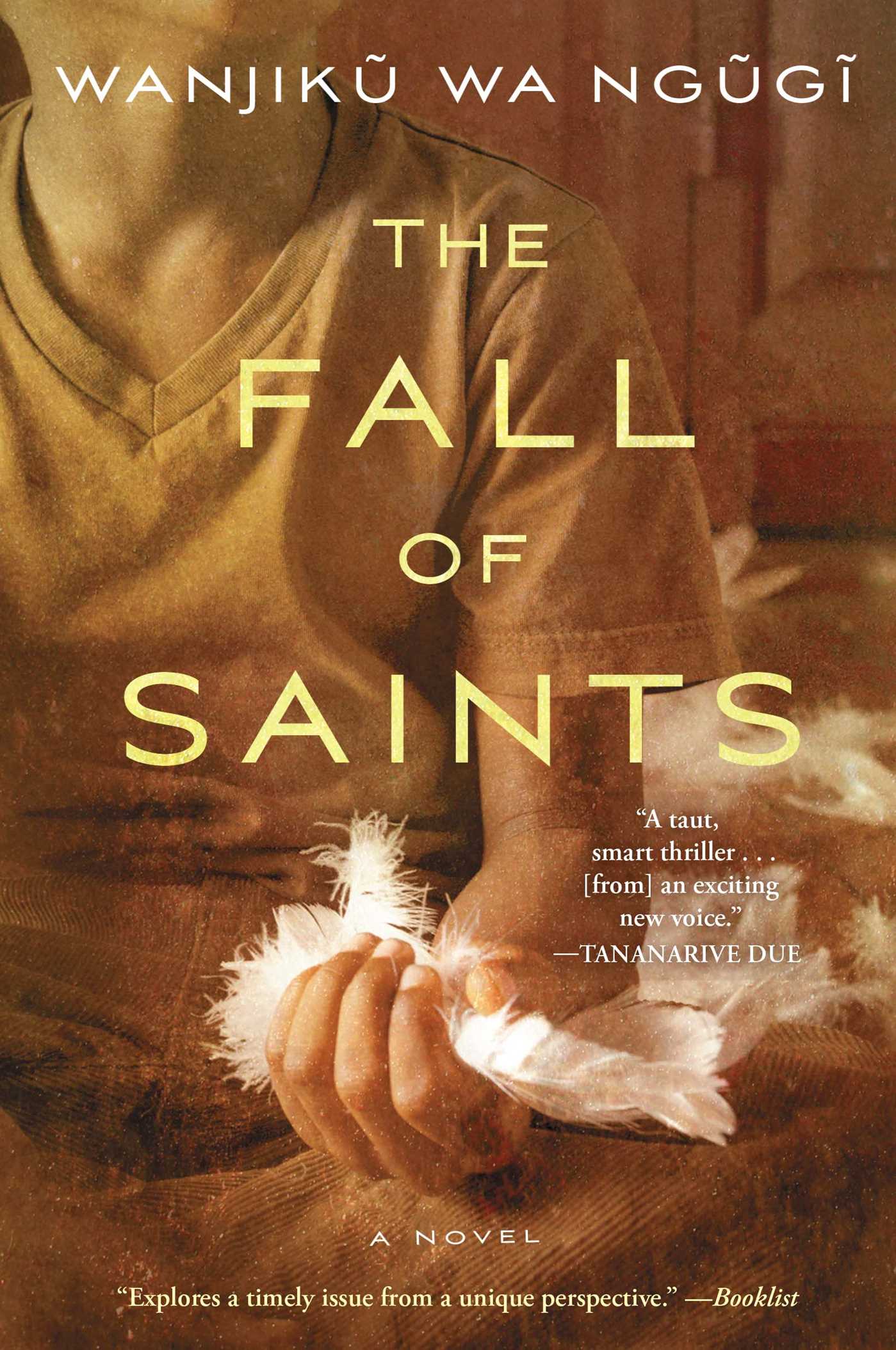 Fall of Saints: A Novel