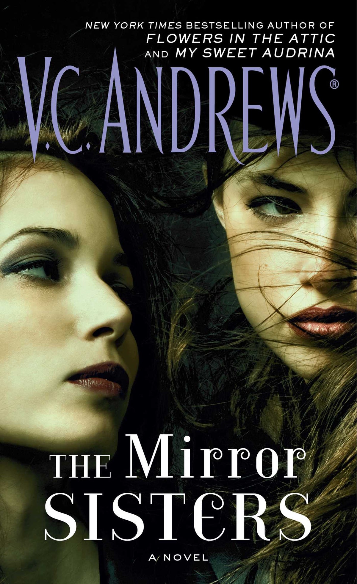 Mirror Sisters: A Novel