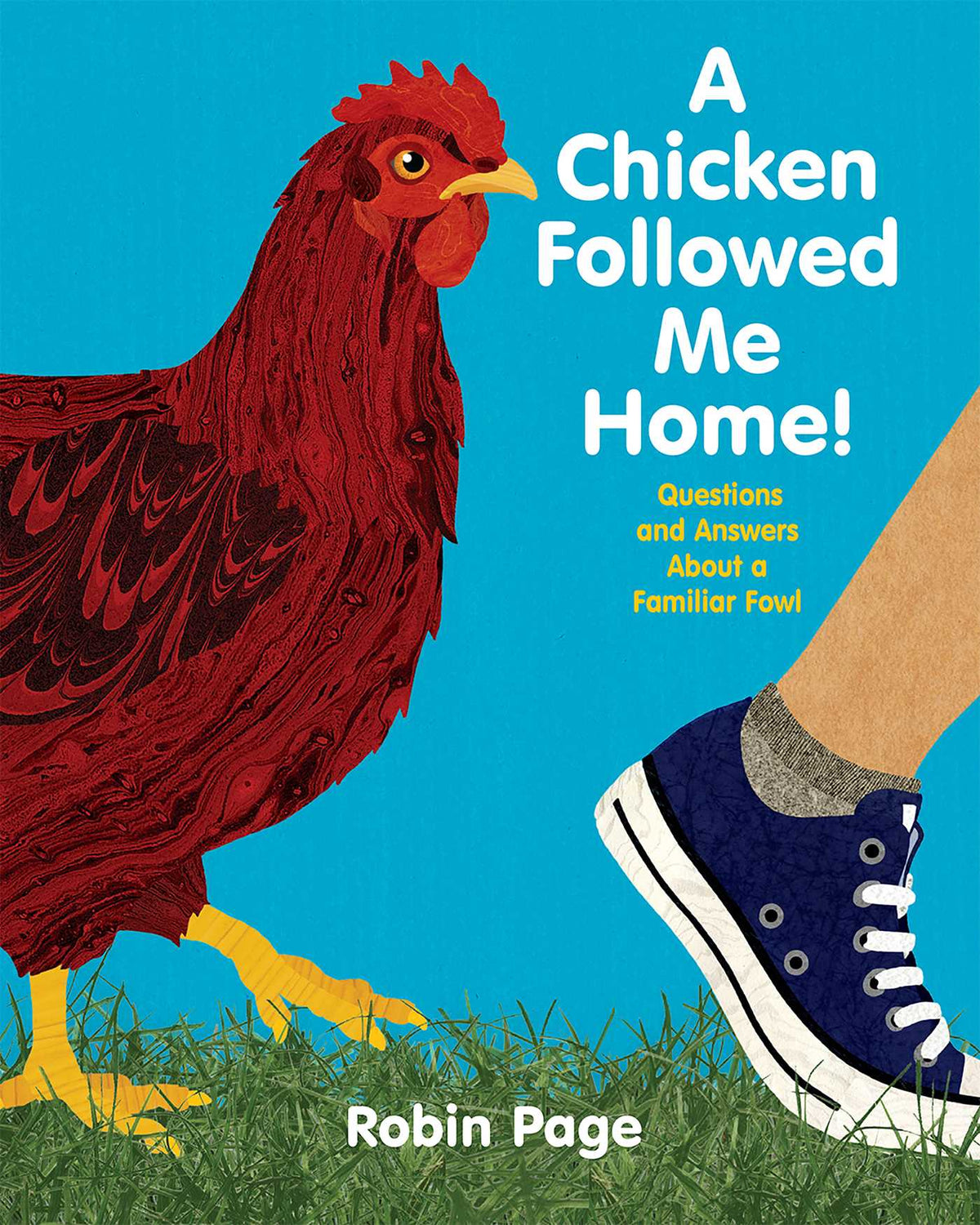 Chicken Followed Me Home!: Questions and Answers about a Familiar Fowl