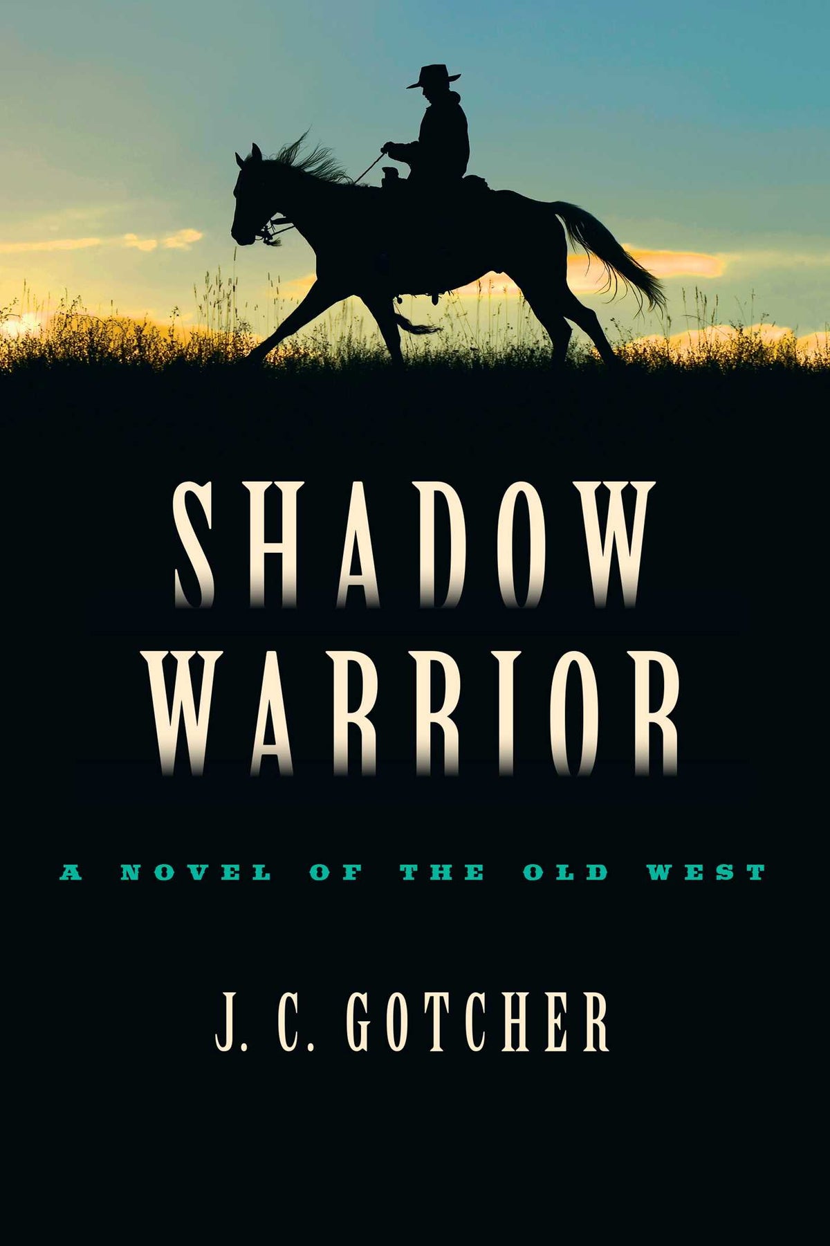 Shadow Warrior