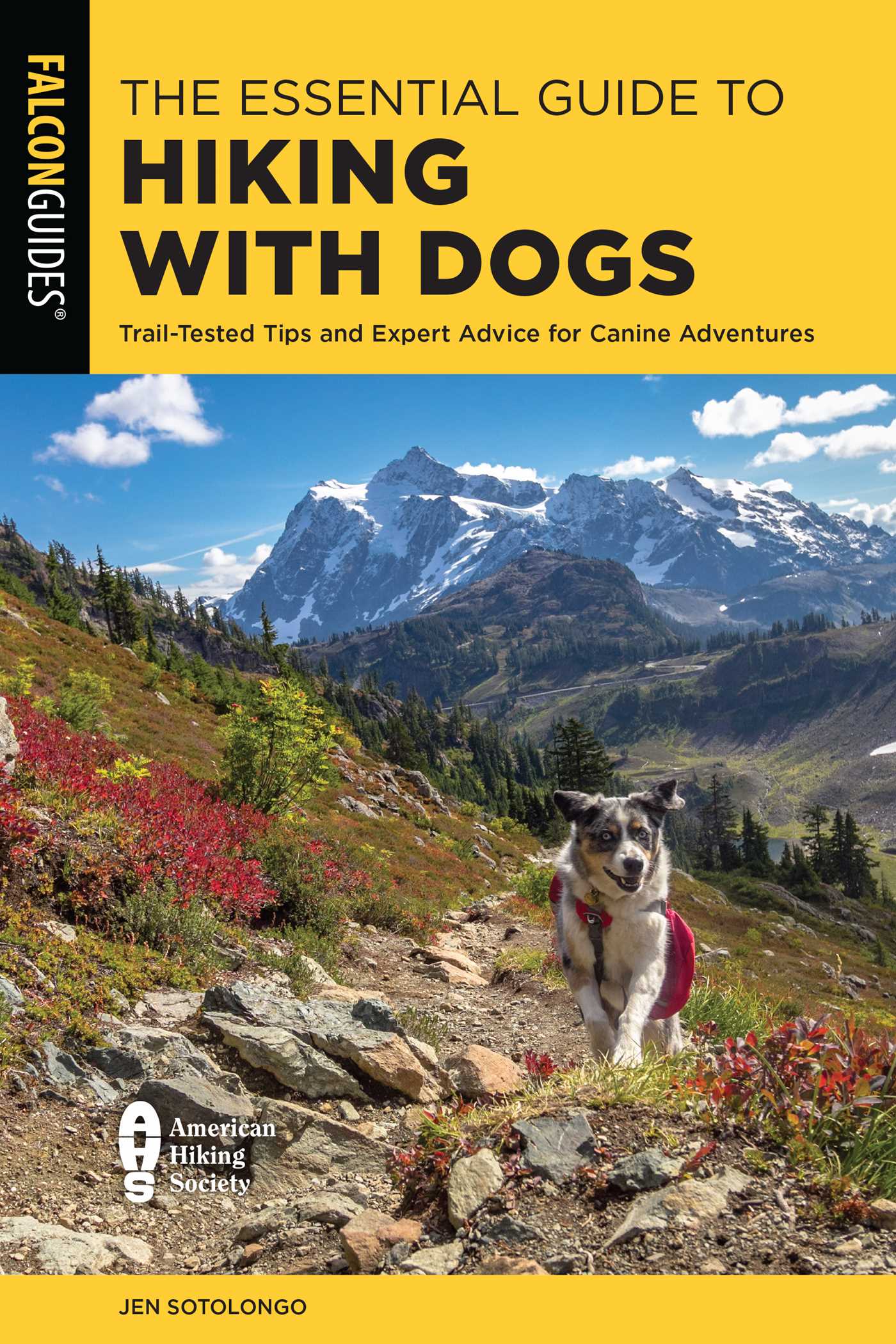 Essential Guide to Hiking with Dogs: Trail-Tested Tips and Expert Advice for Canine Adventures