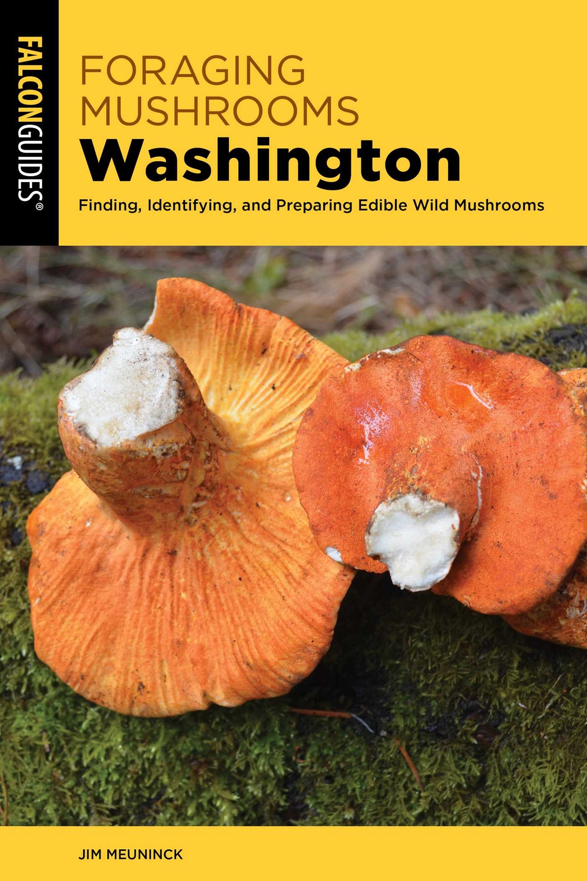 Foraging Mushrooms Washington