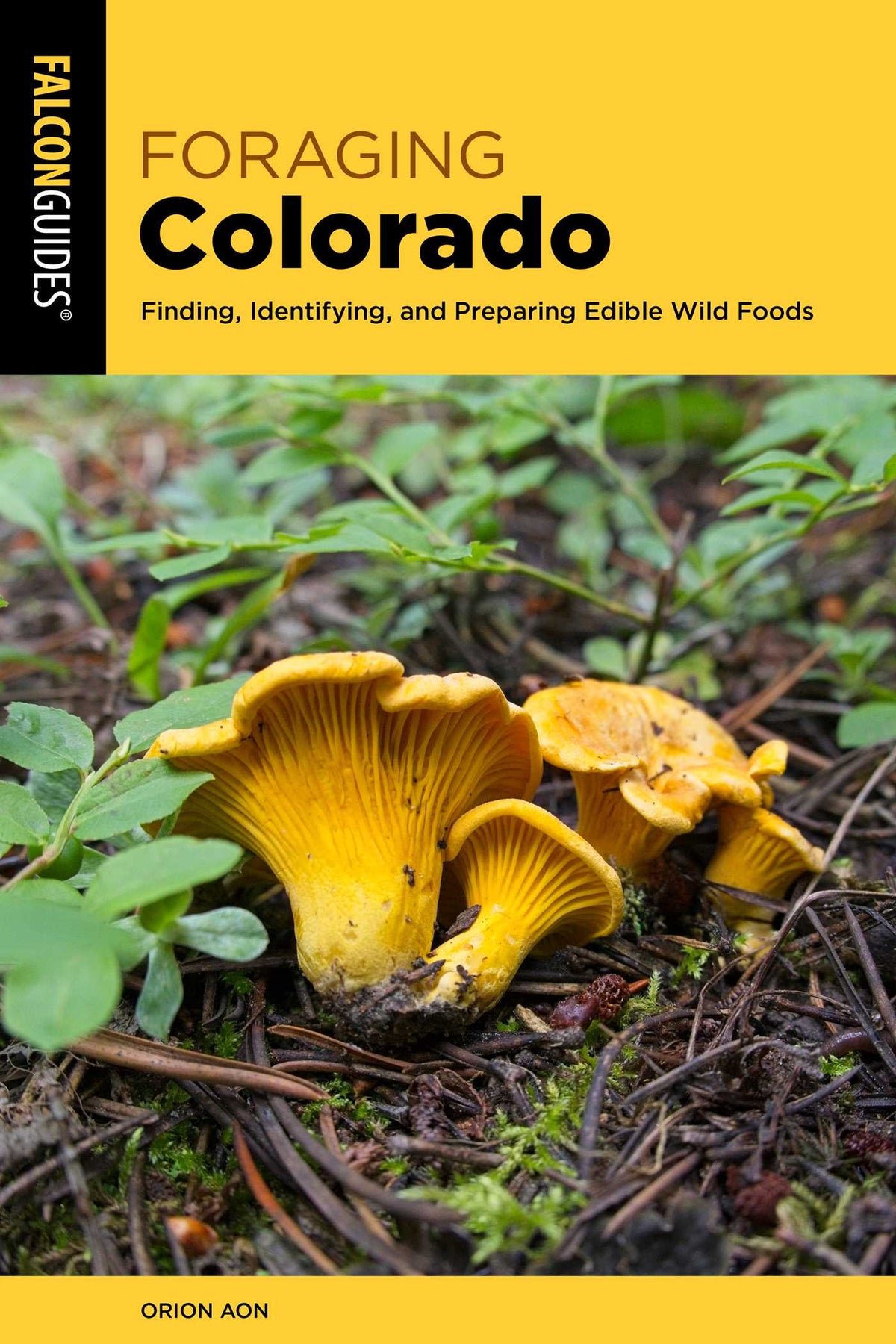 Foraging Colorado