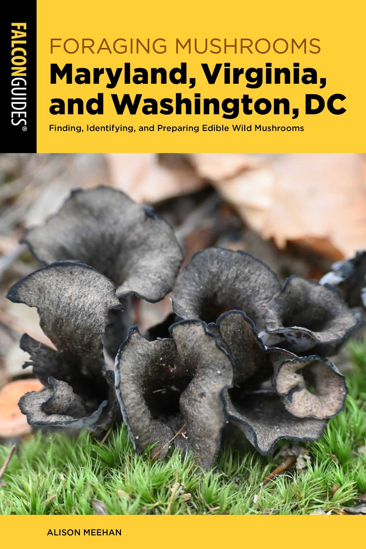Foraging Mushrooms Maryland, Virginia, and Washington, DC