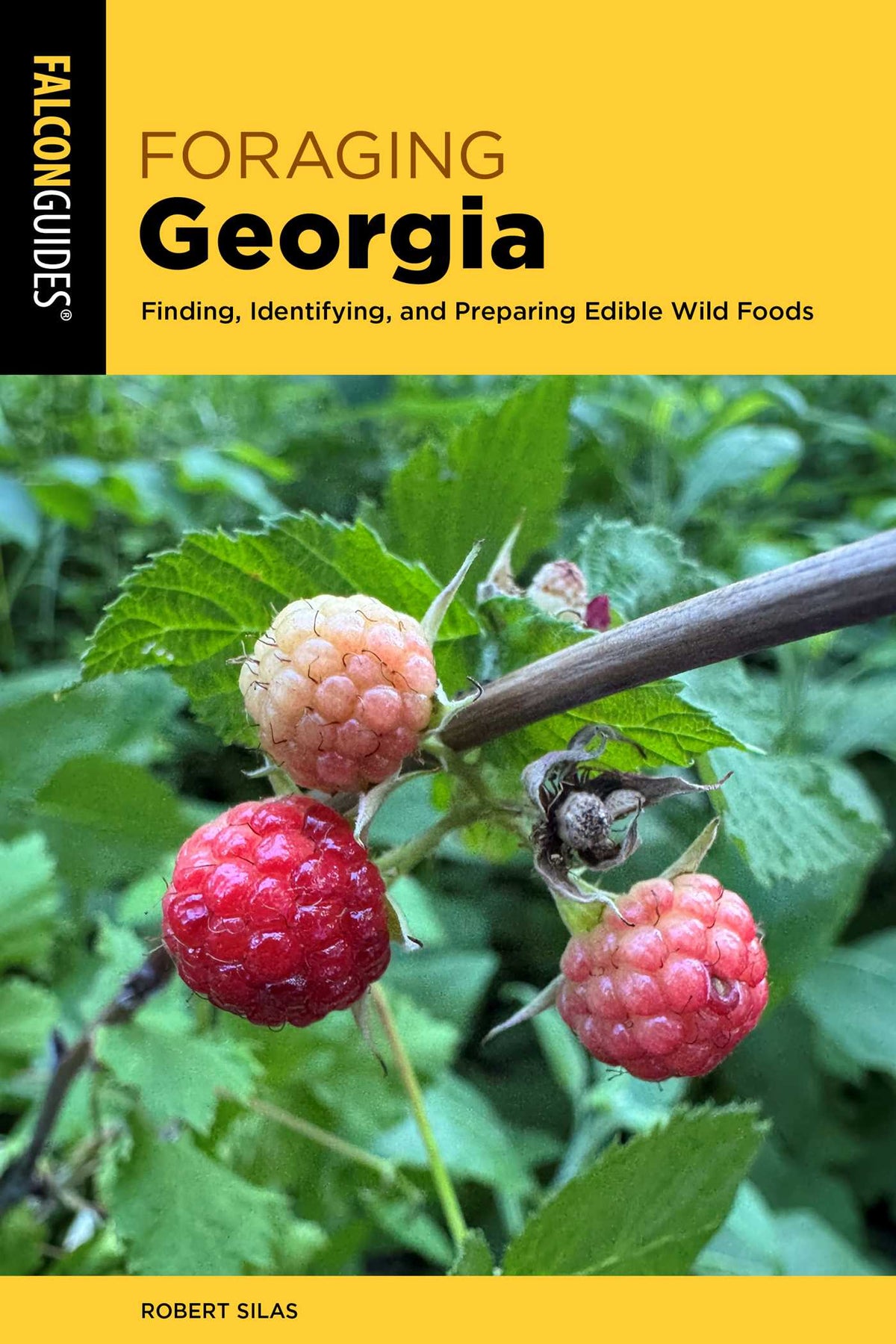 Foraging Georgia